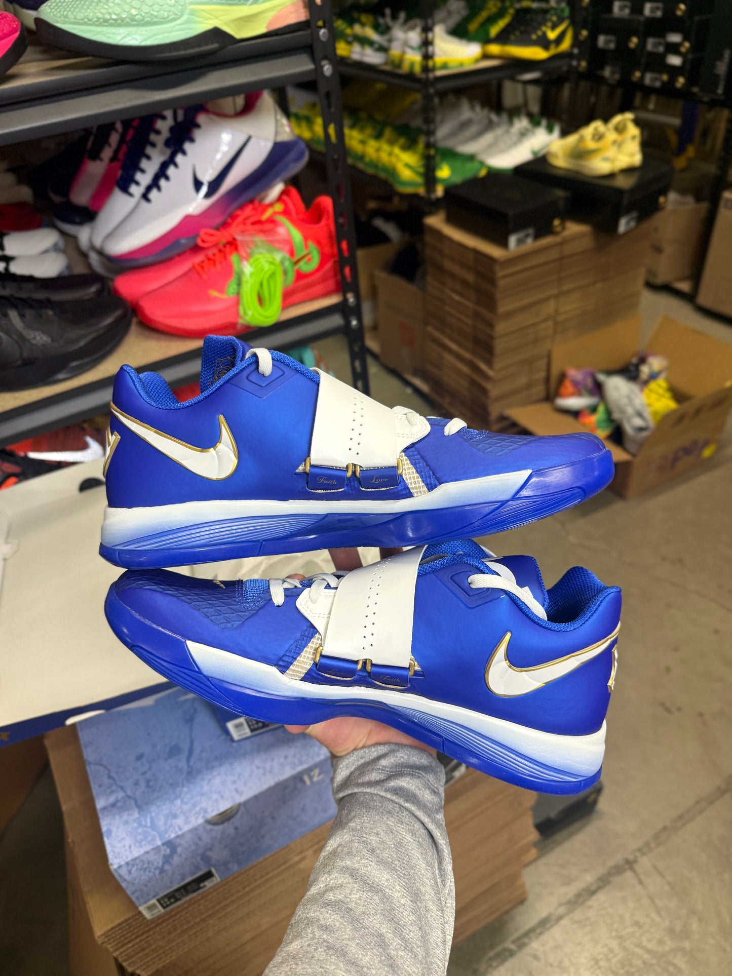 Kd4 MVP (13)