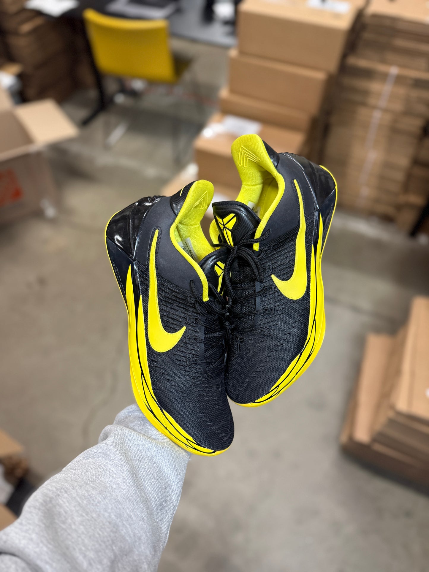 Kobe AD Oregon PE (9)