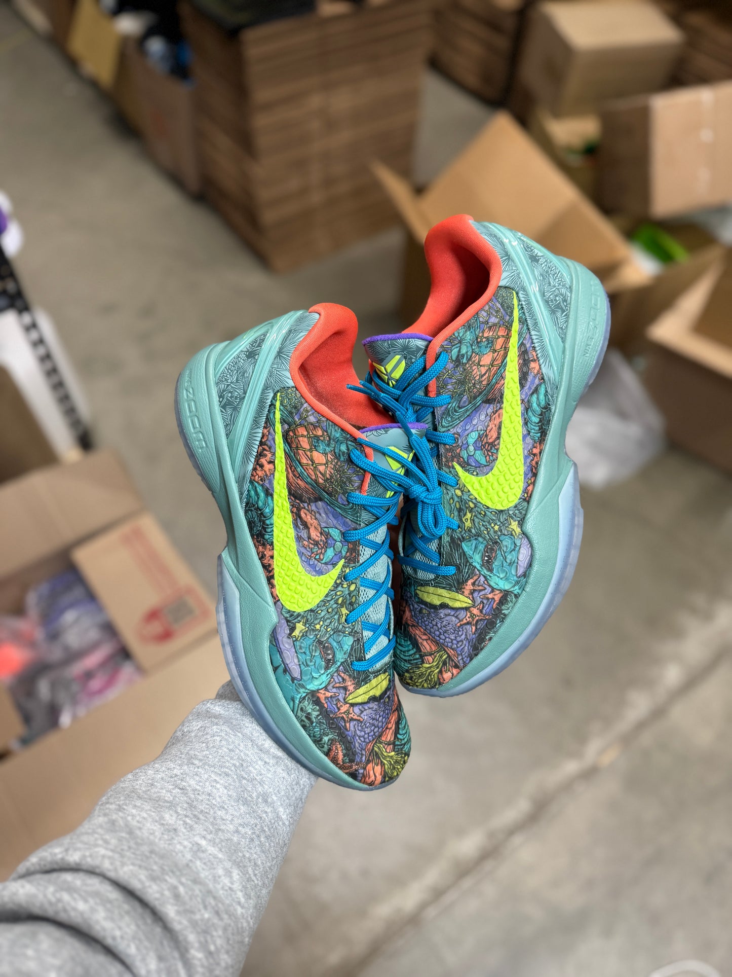 Kobe 6 Prelude (13)