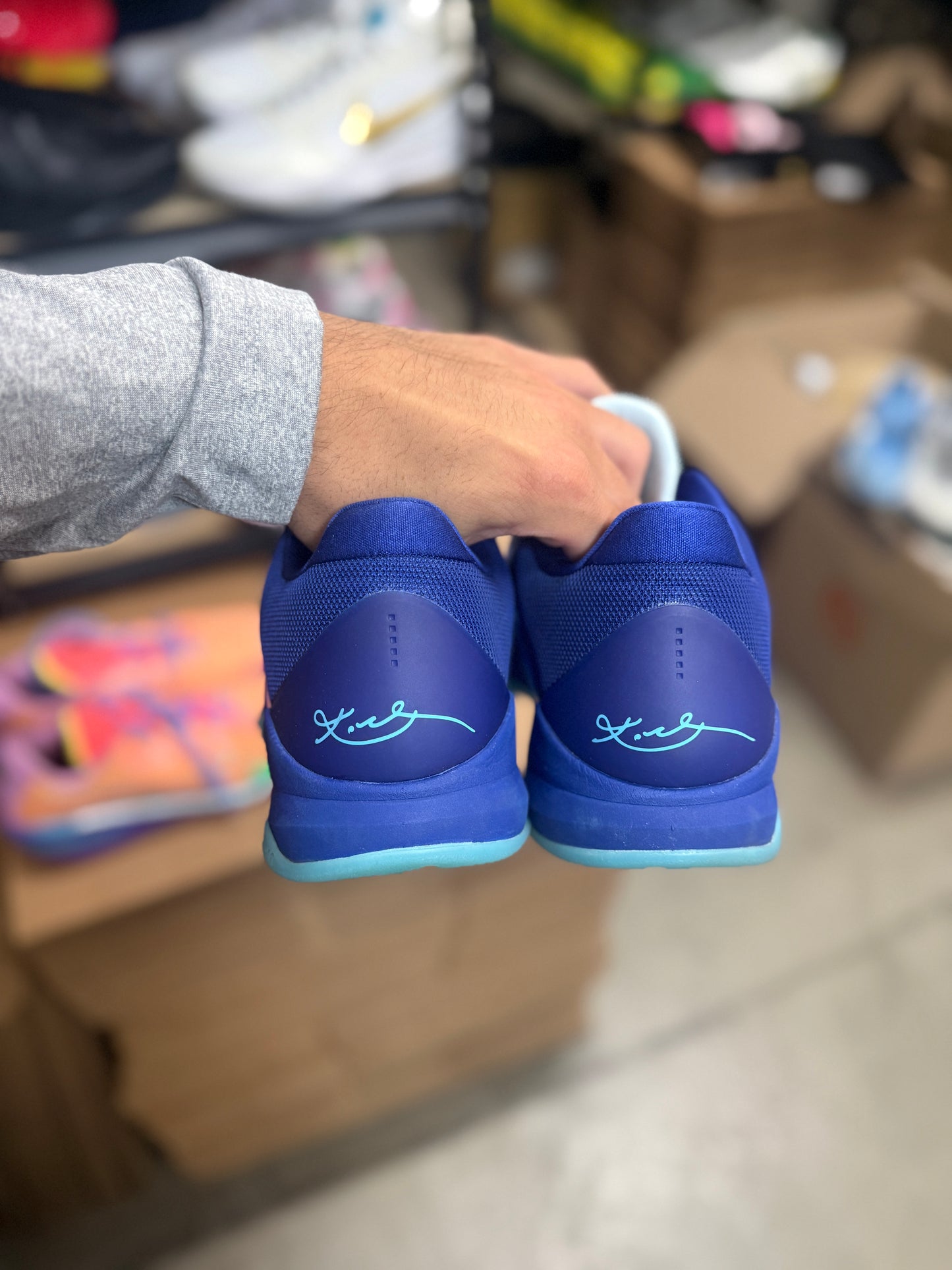 Kobe 5 X-Ray (13)