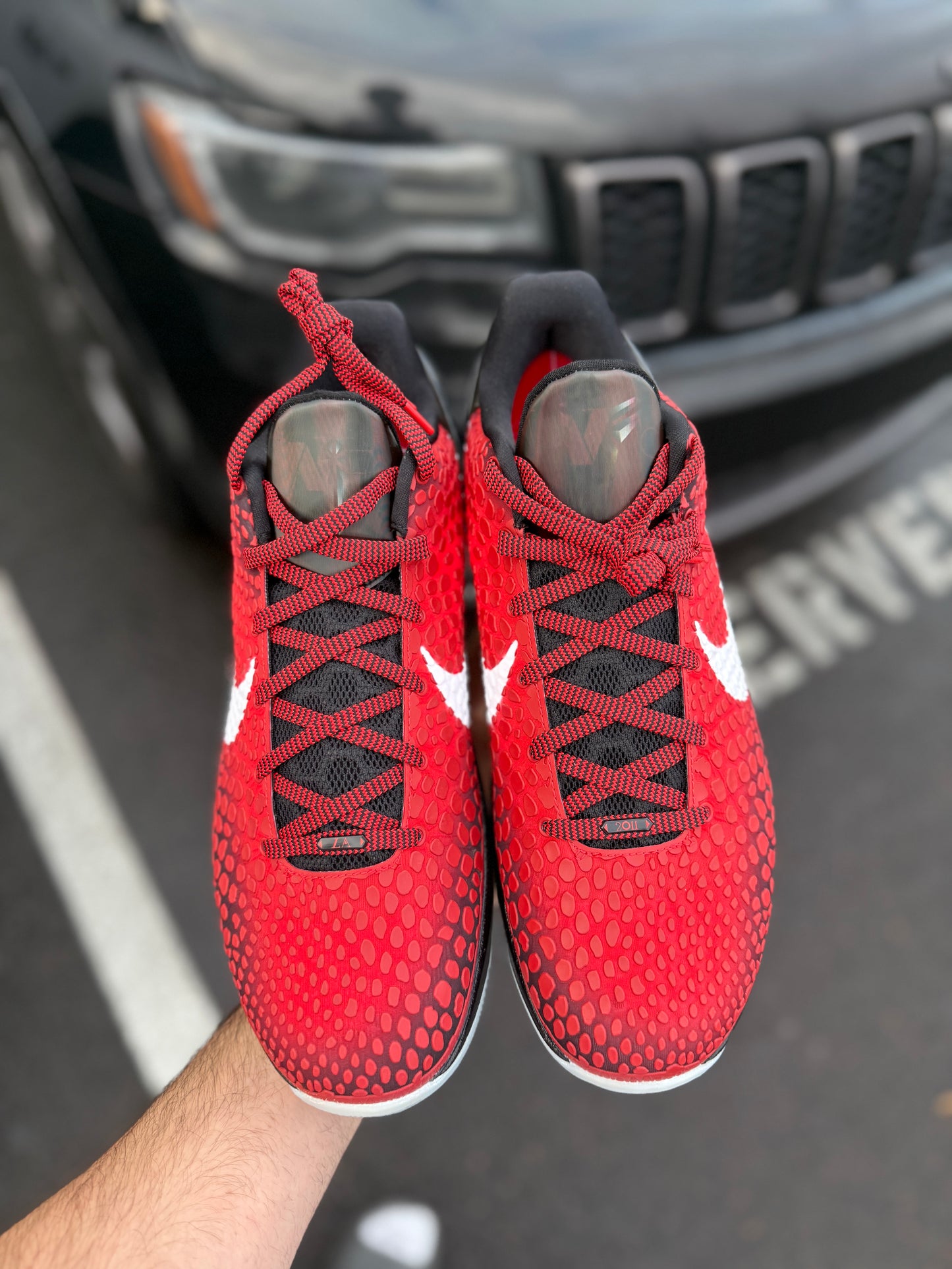 Kobe 6 Allstar (size 13)