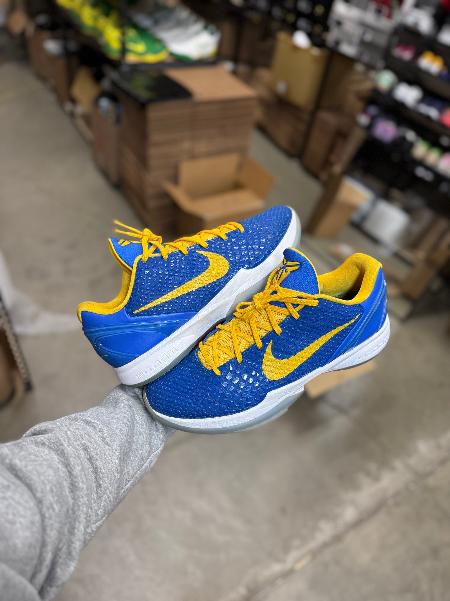 Kobe 6 Trevor Ariza PE (13.5)