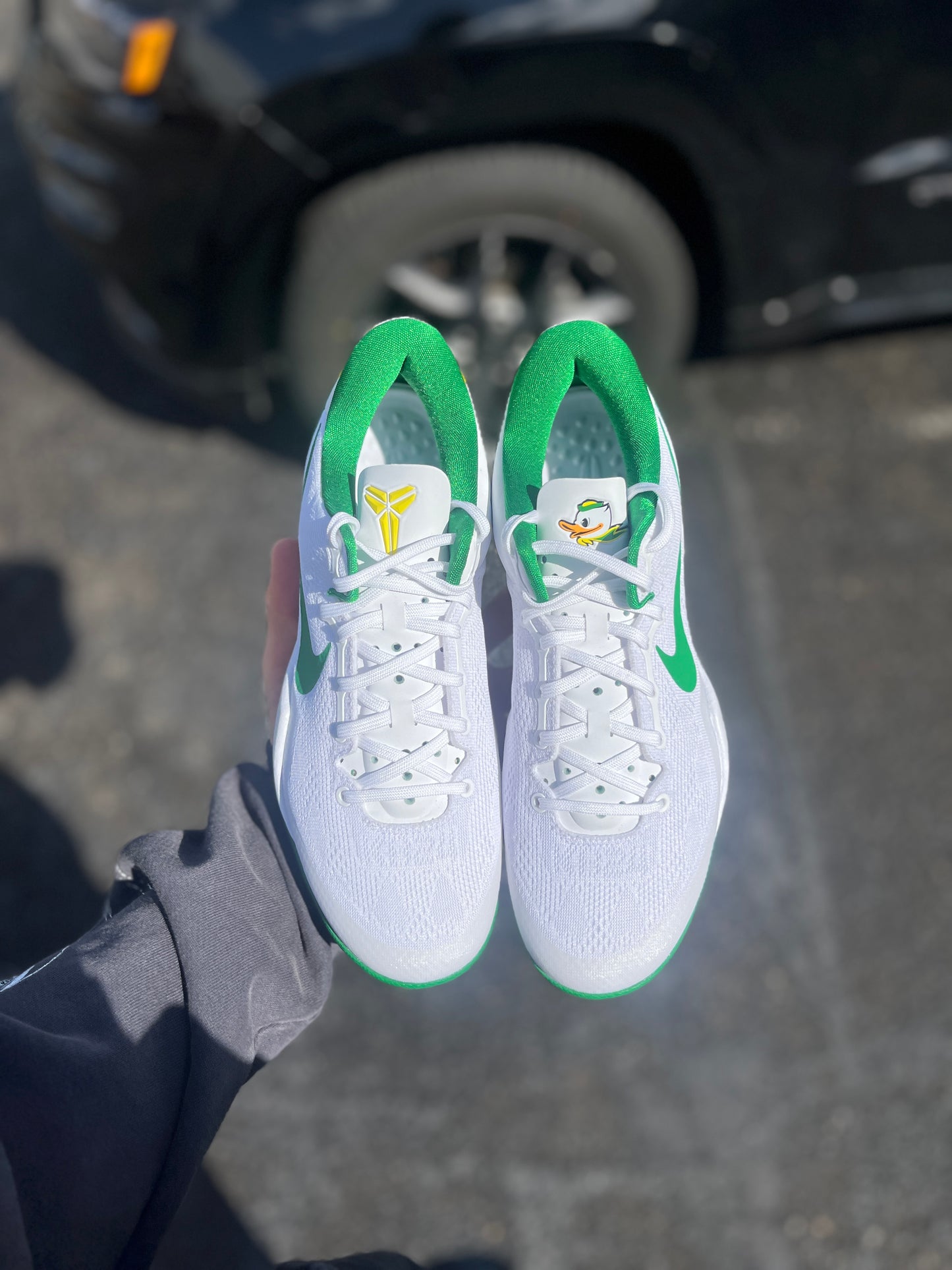 Oregon PE 8 (7.5,9,11.5)