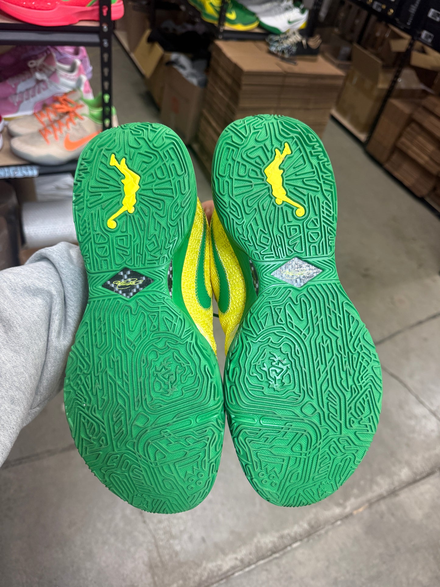 Bron Oregon PE (12)