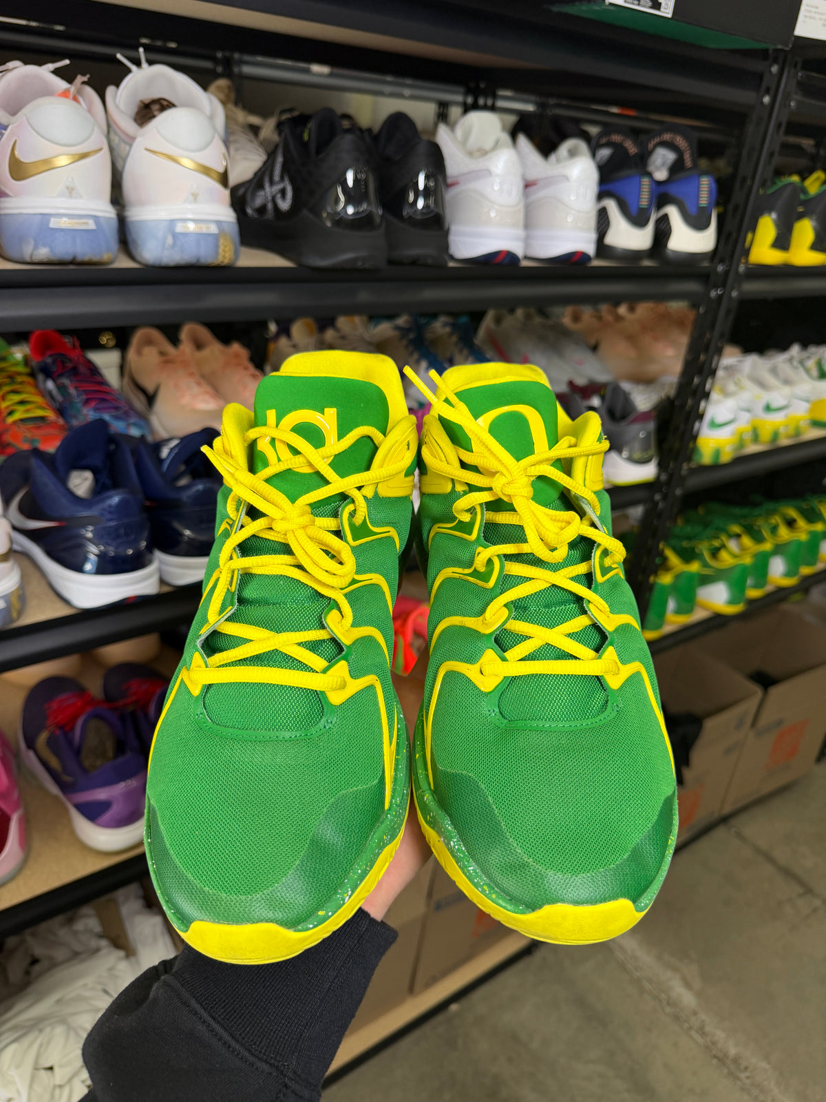Kd17 Oregon PE (13)