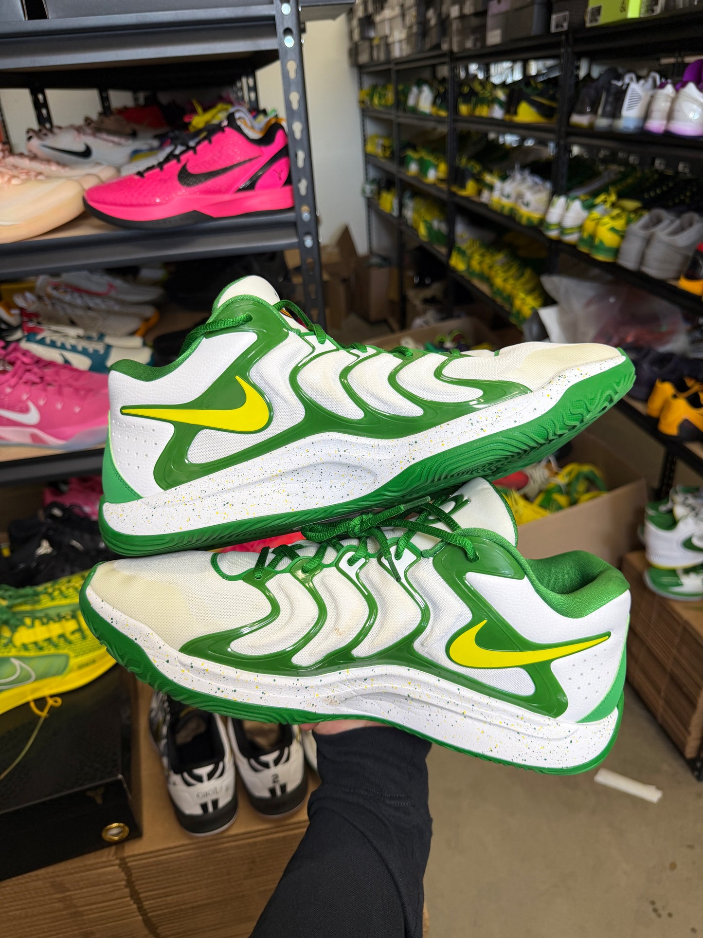 Kd17 Oregon PE (16)