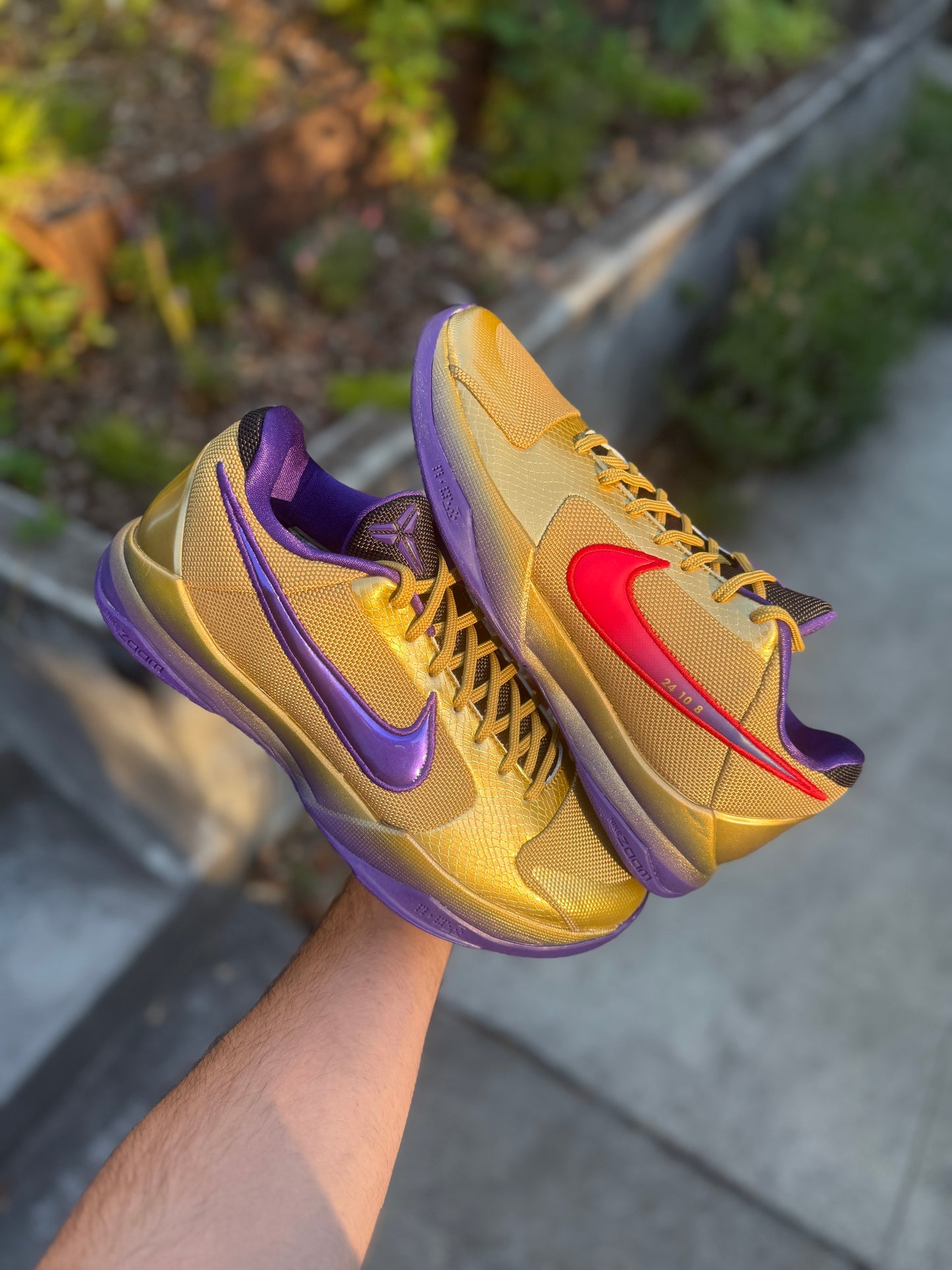 Undefeated 5 (11,11.5)