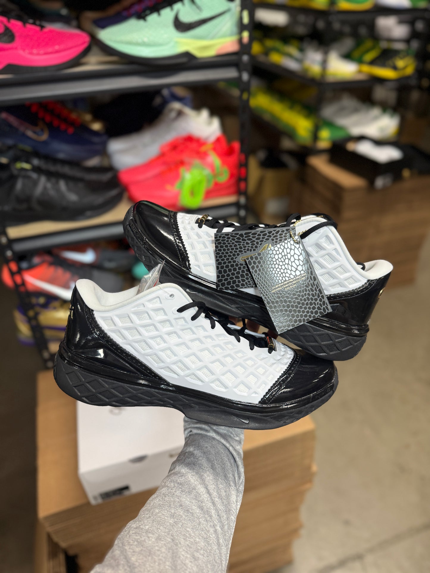 Kobe 3 Mambacita (13)