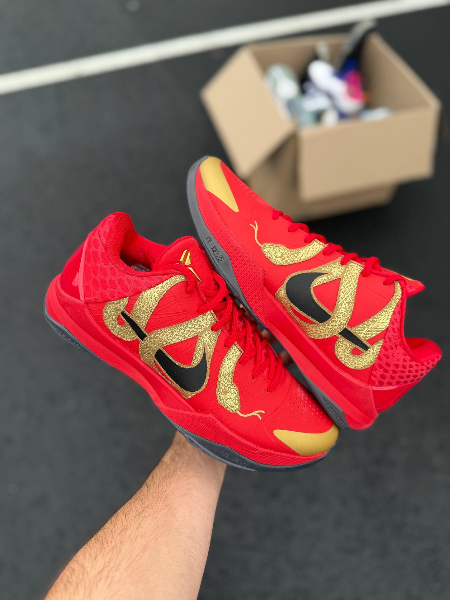 Red Mamba 5s (Size 13)