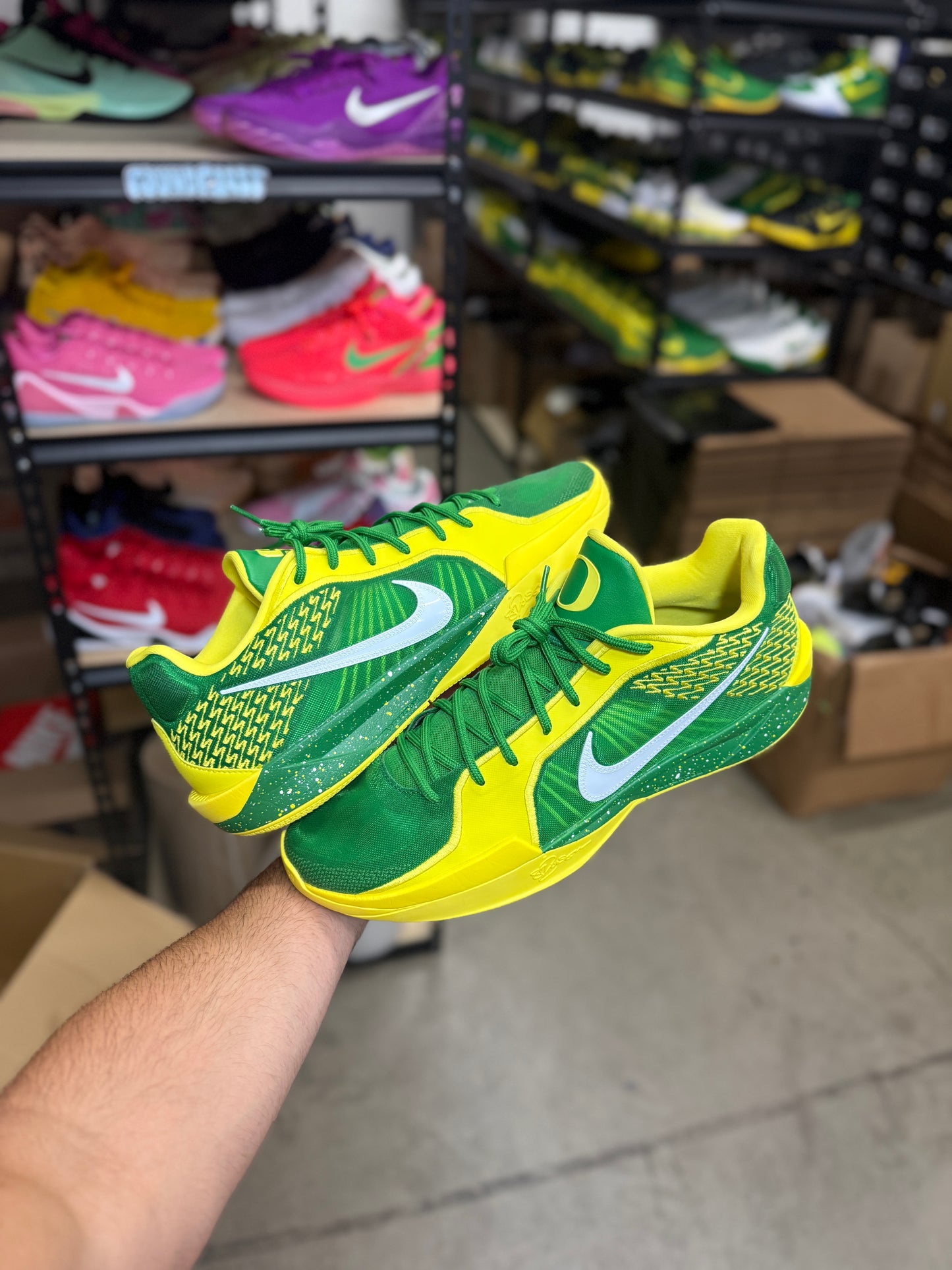 Sabrina Oregon PE (13.5)