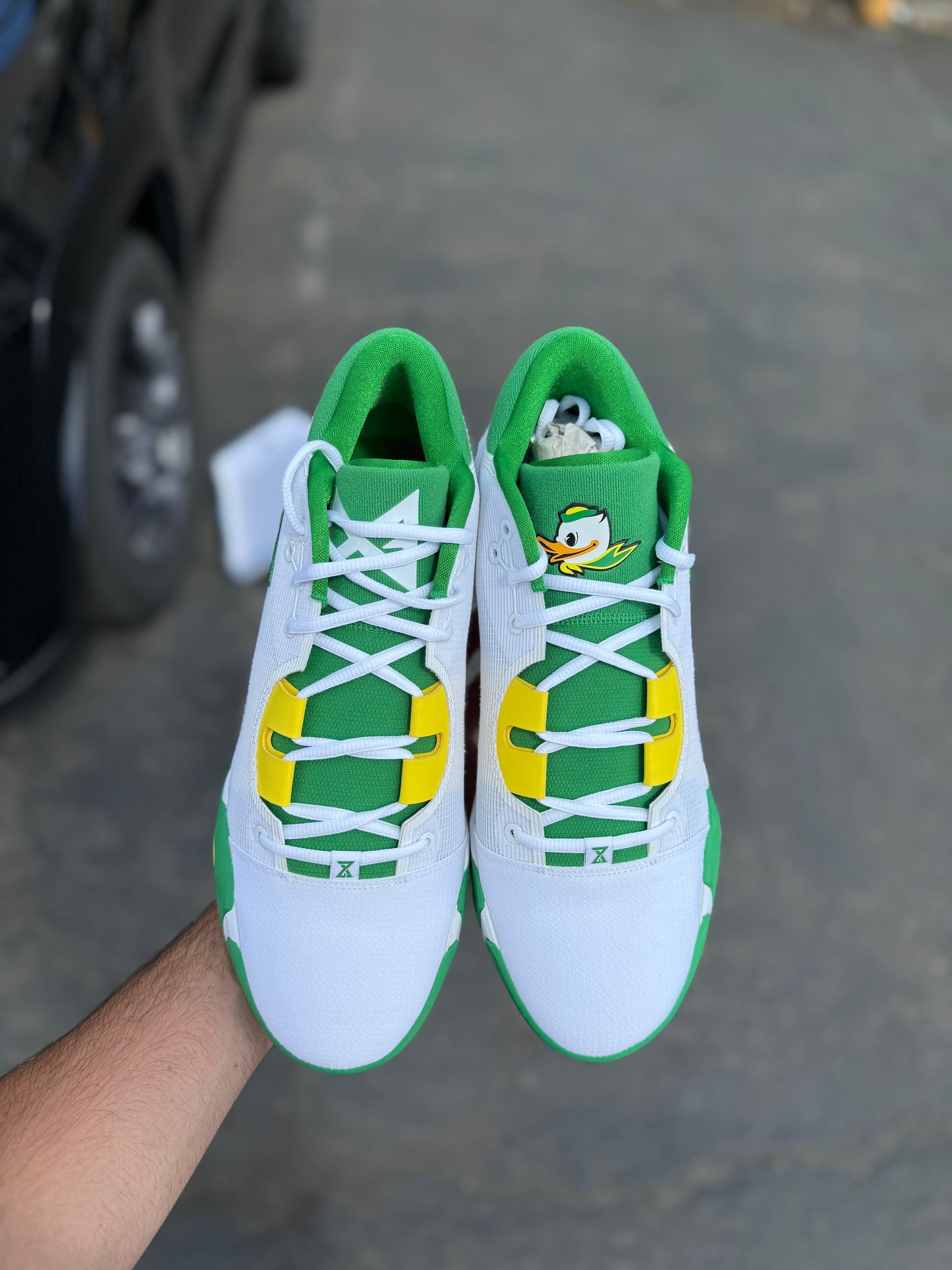 PG Oregon PE (9,13)