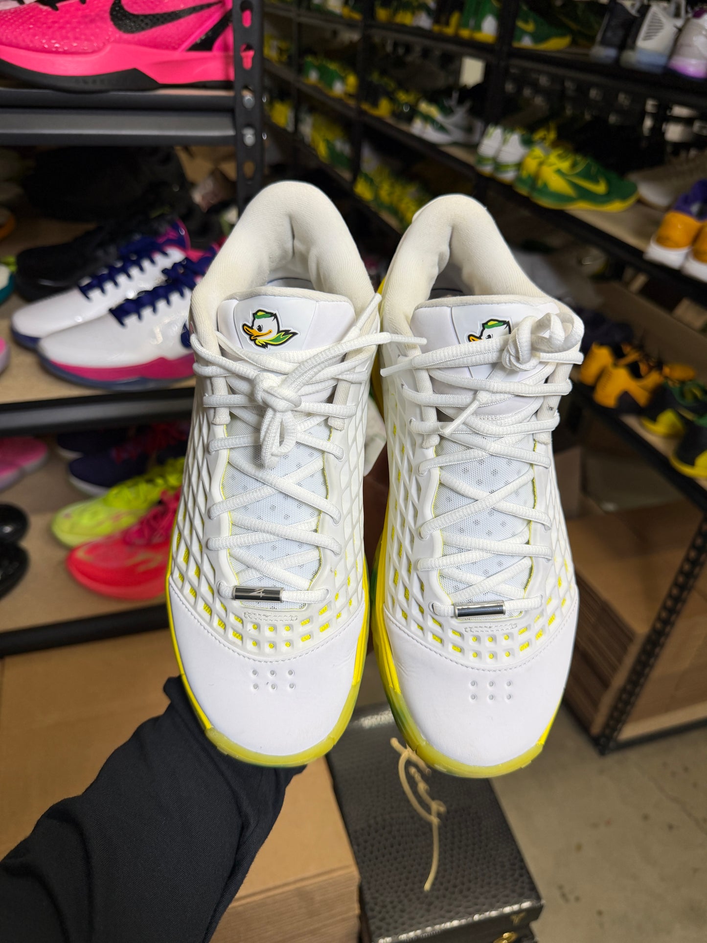 Kobe 3 Oregon PE (8.5)