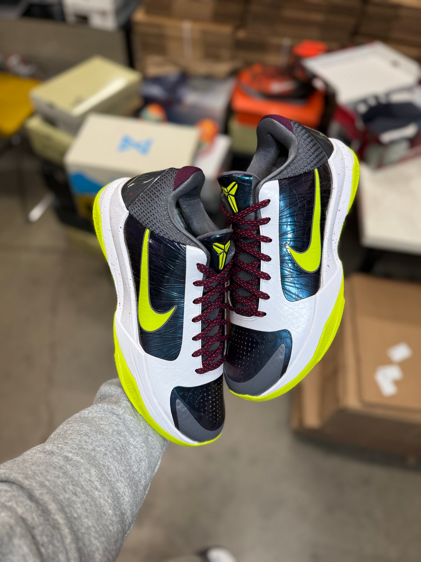 Kobe 5 Chaos (10.5)