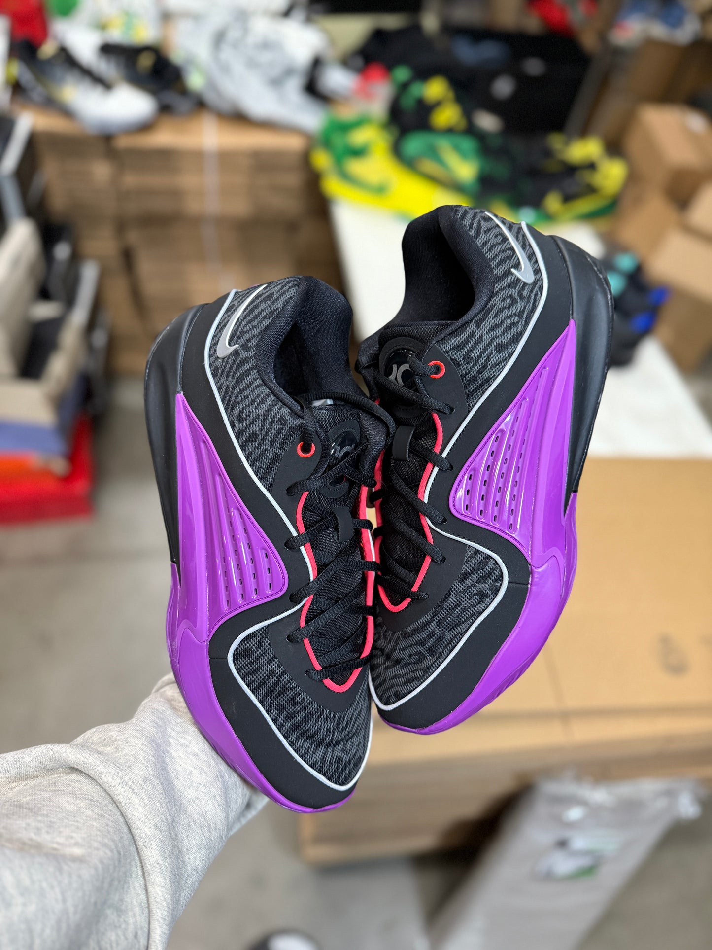 Kd16 (13)