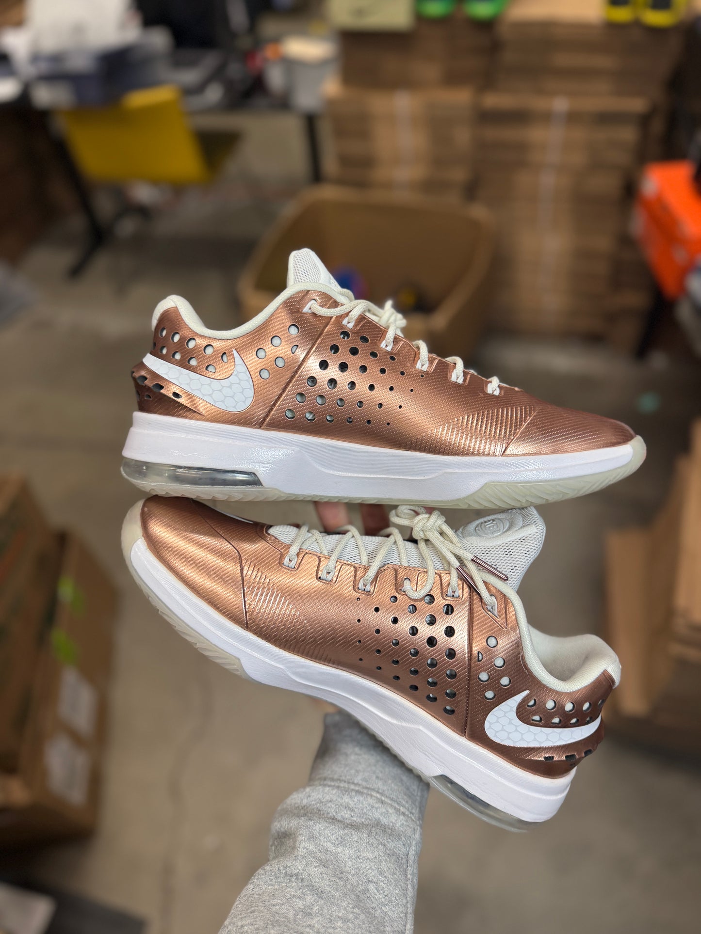 Kd7 Eybl (11.5)