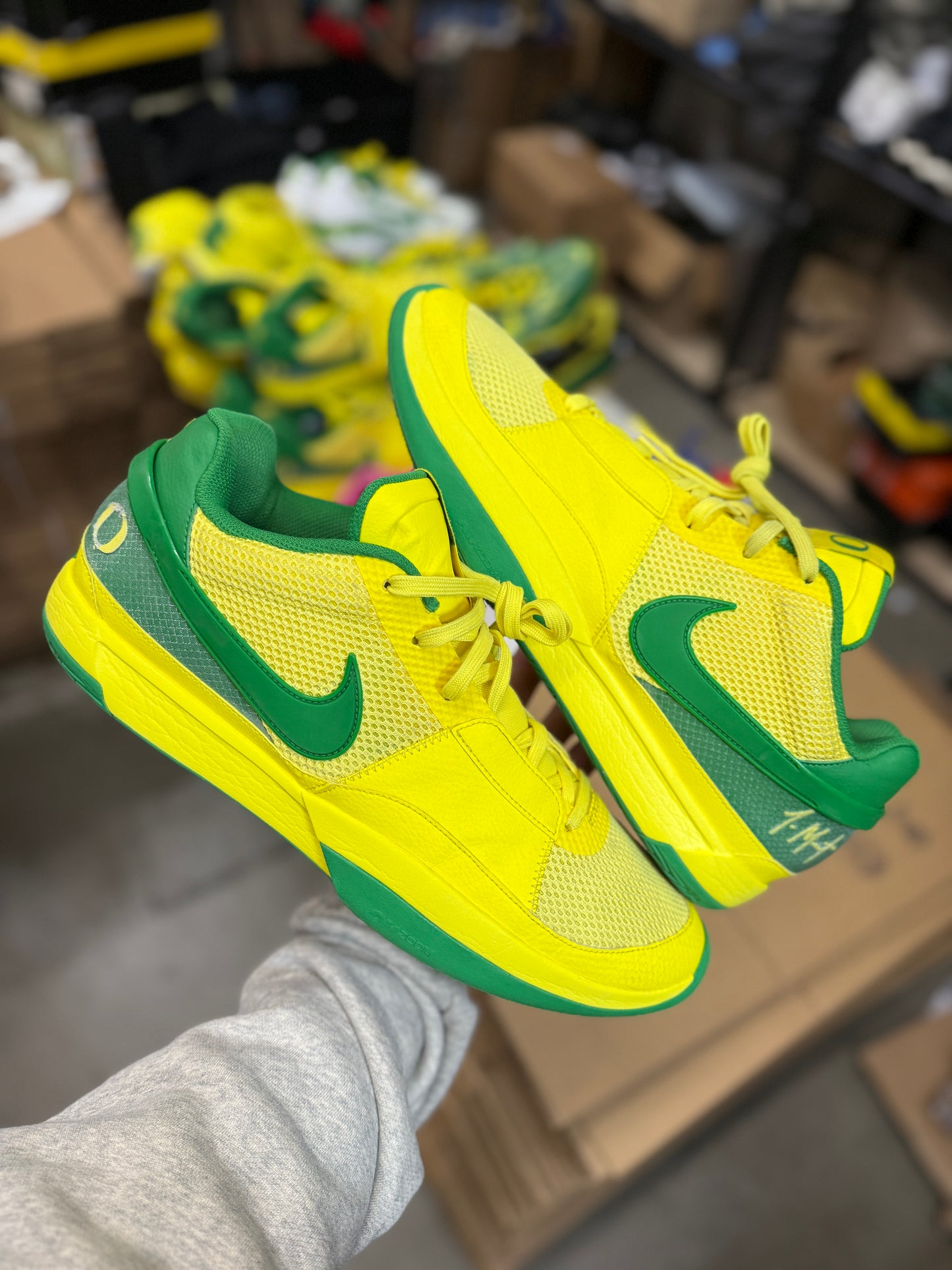 Ja Oregon PE (15)