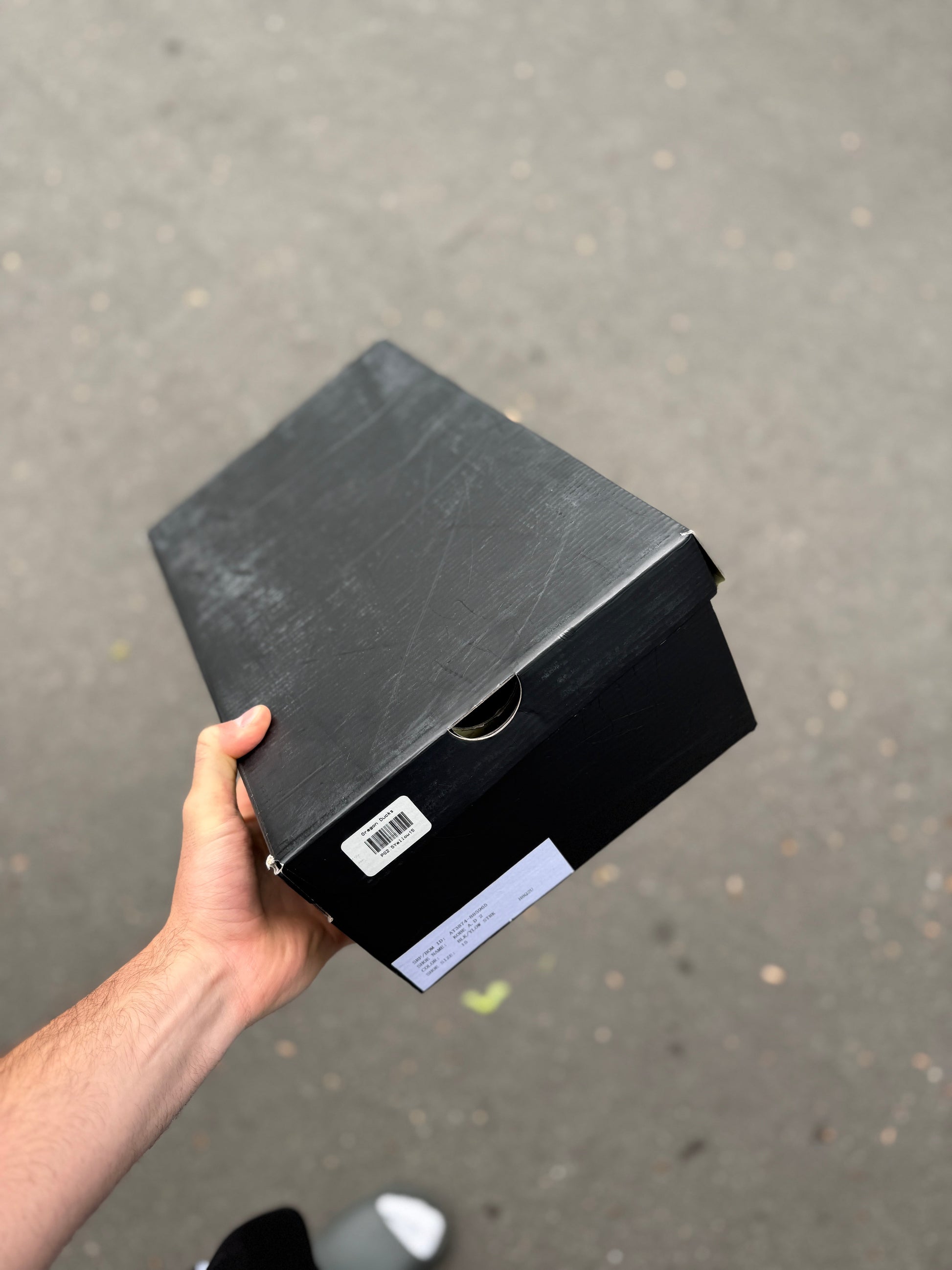 Oregon PE AD (size 15)