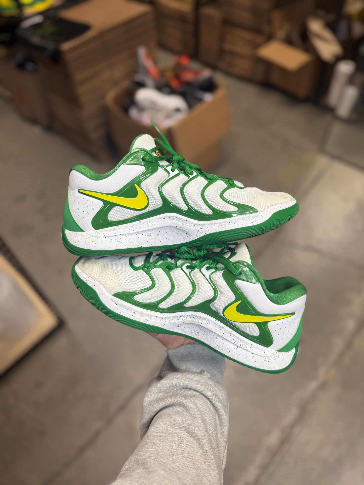 Kd17 Oregon PE (9.5)