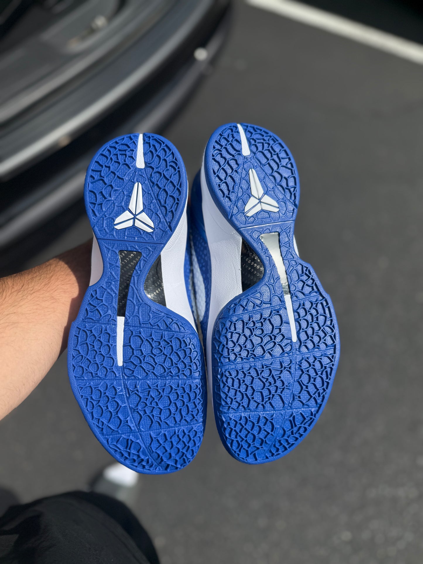 Dodger 6 (9.5,11.5)