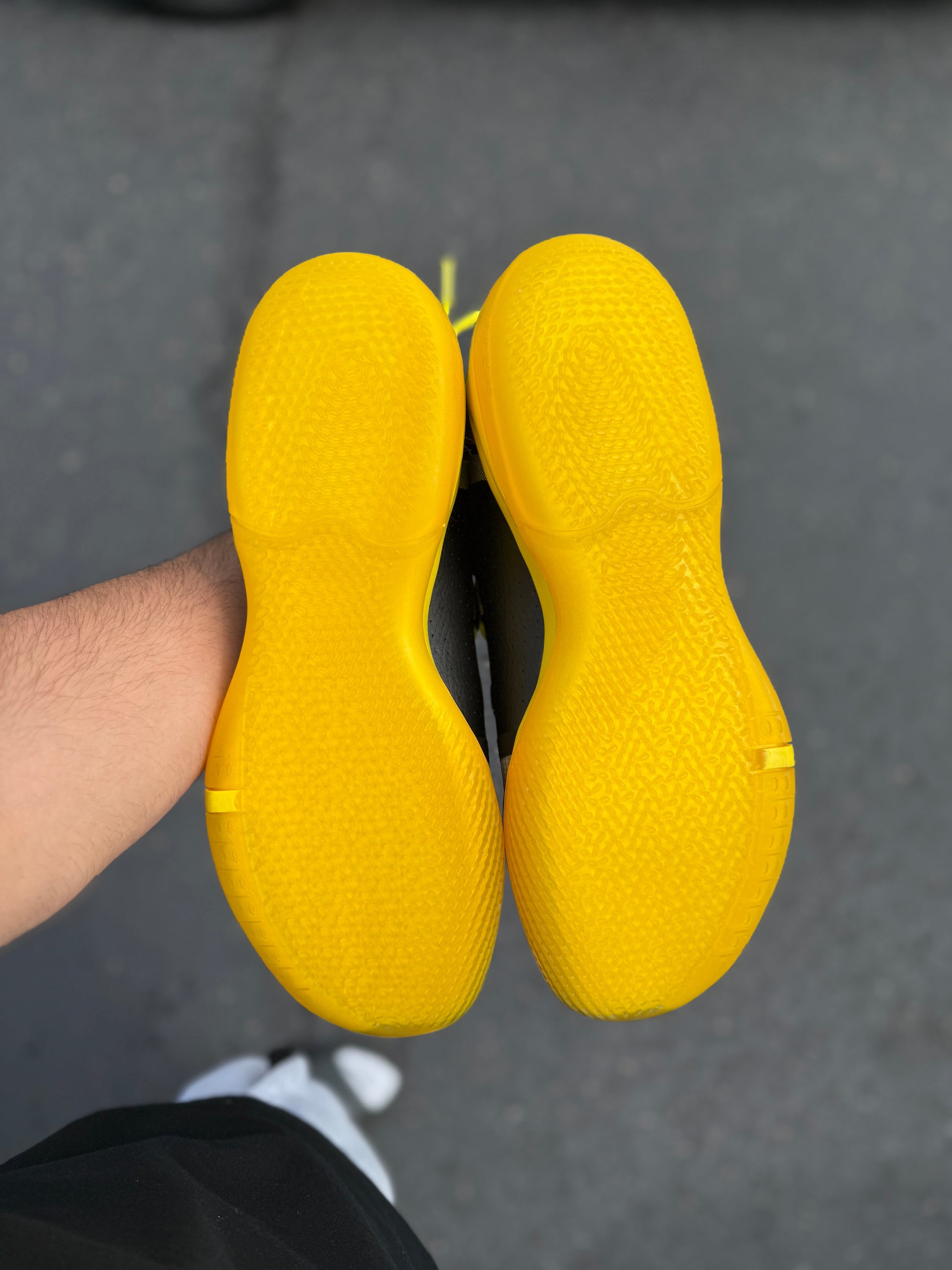 Oregon PE AD (size 15)