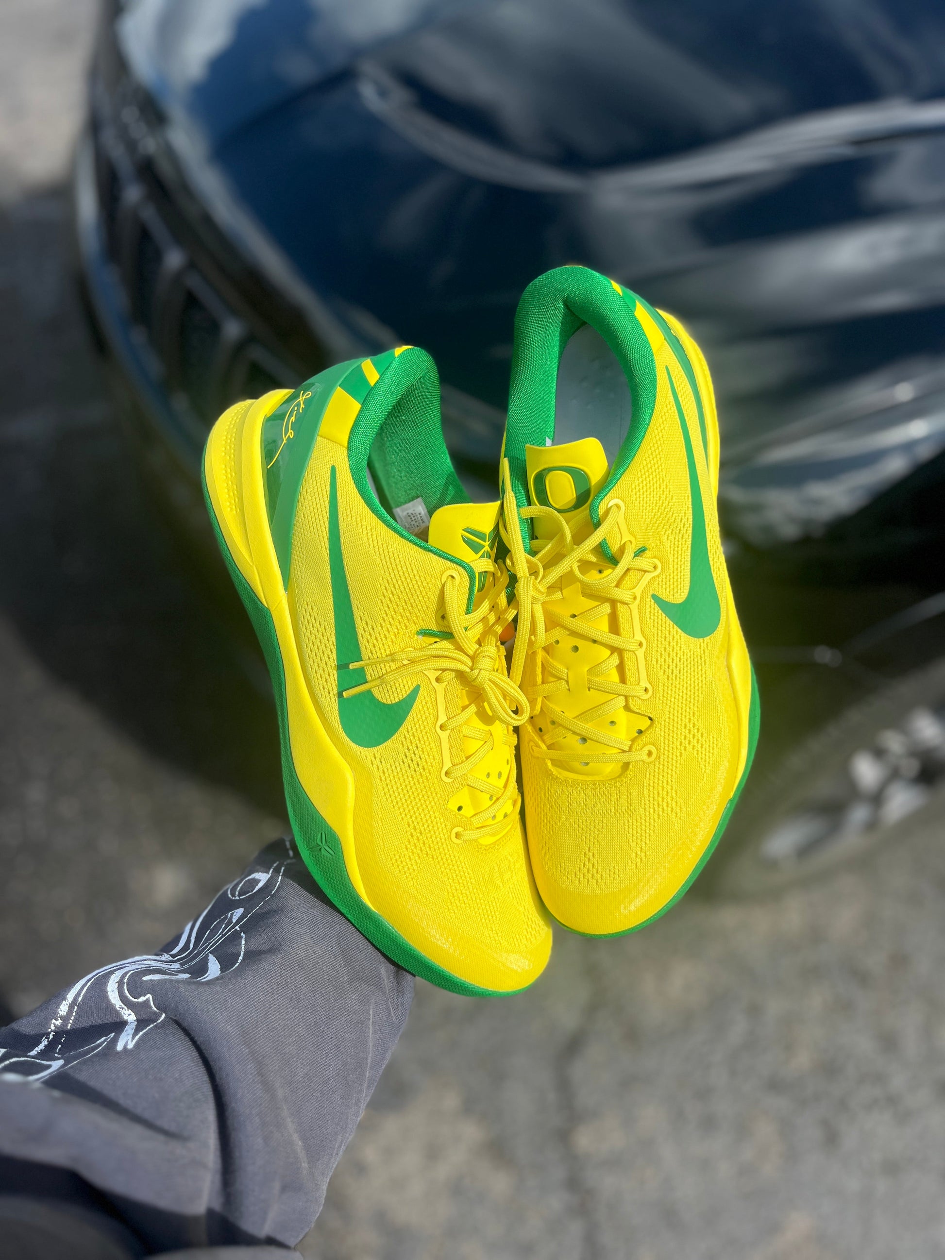 Oregon PE (7.5 / 8.5 / 12 / 14)