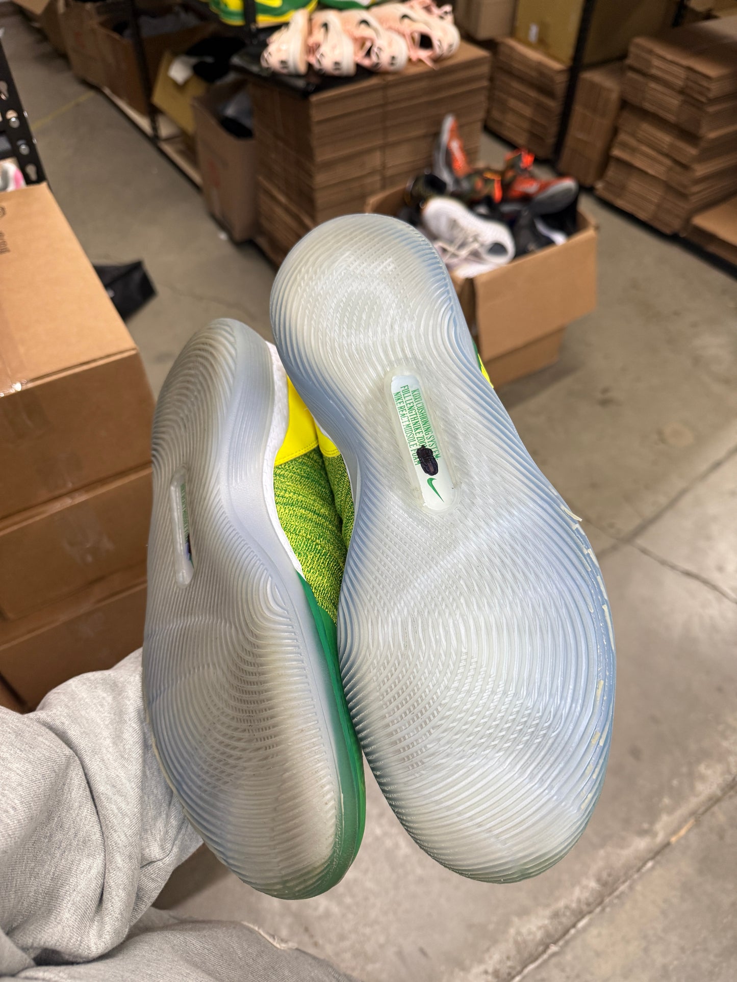 Kd11 Oregon PE (15)