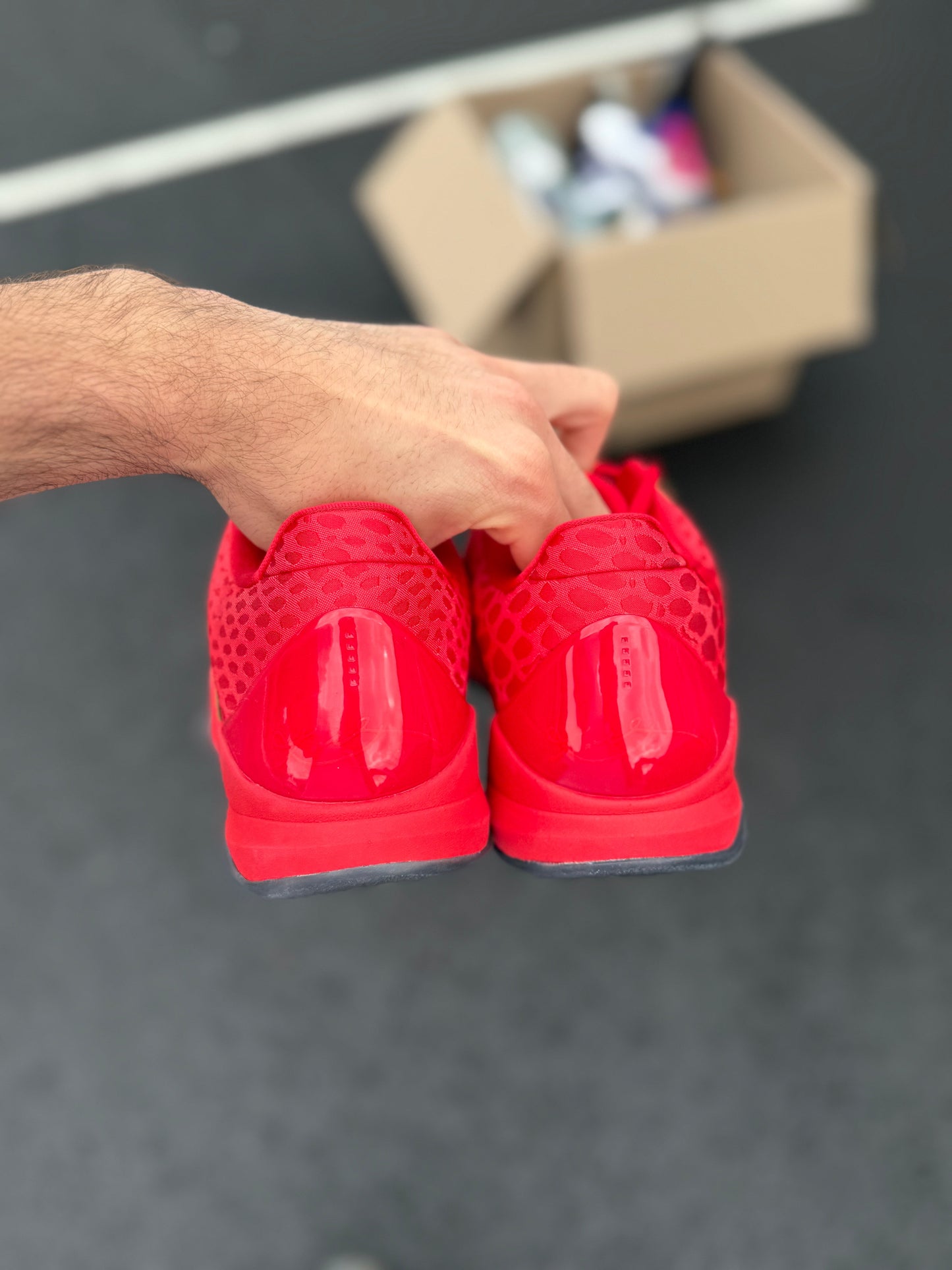 Red Mamba 5s (Size 13)