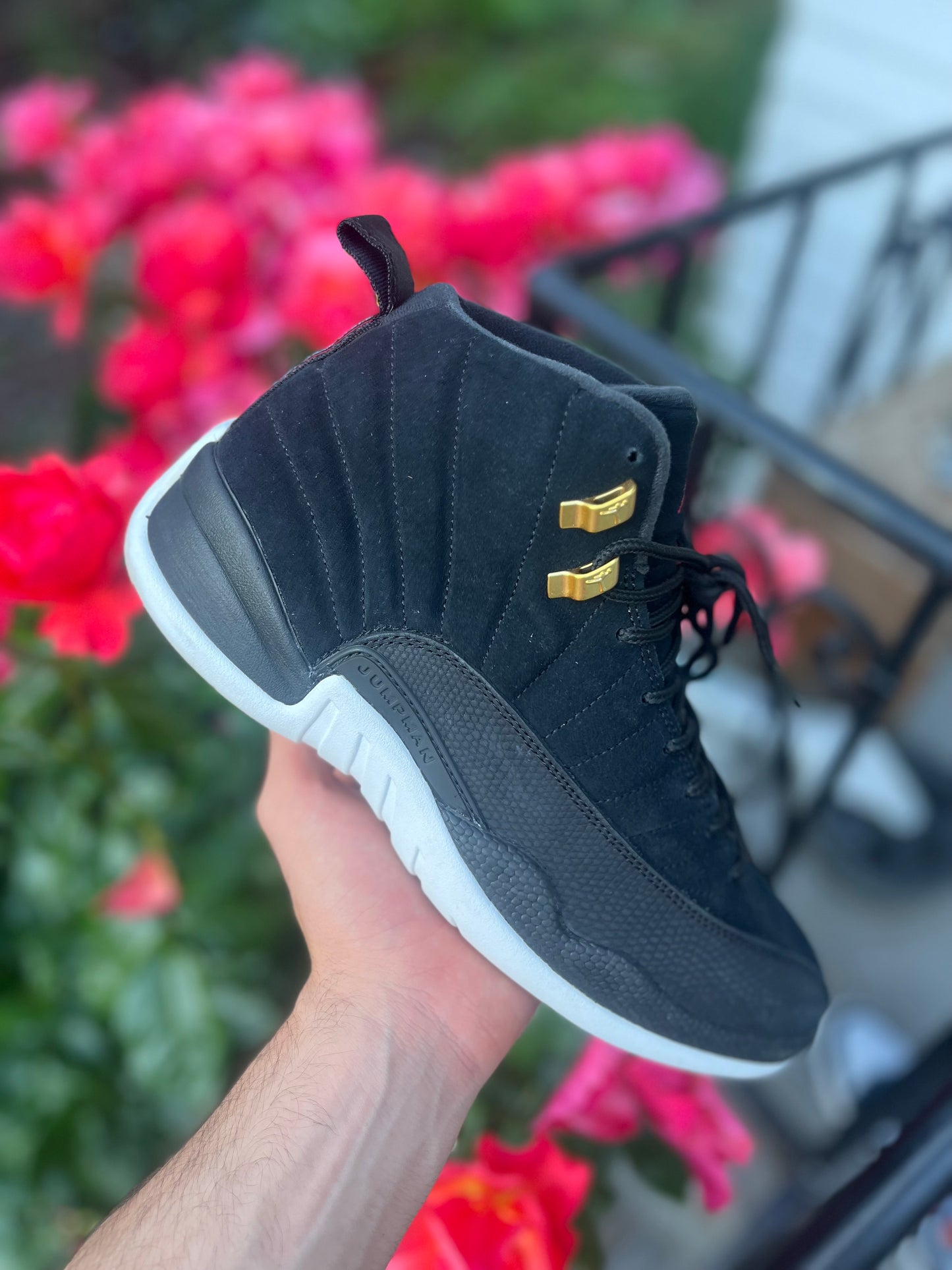 AJ12 (size 10)