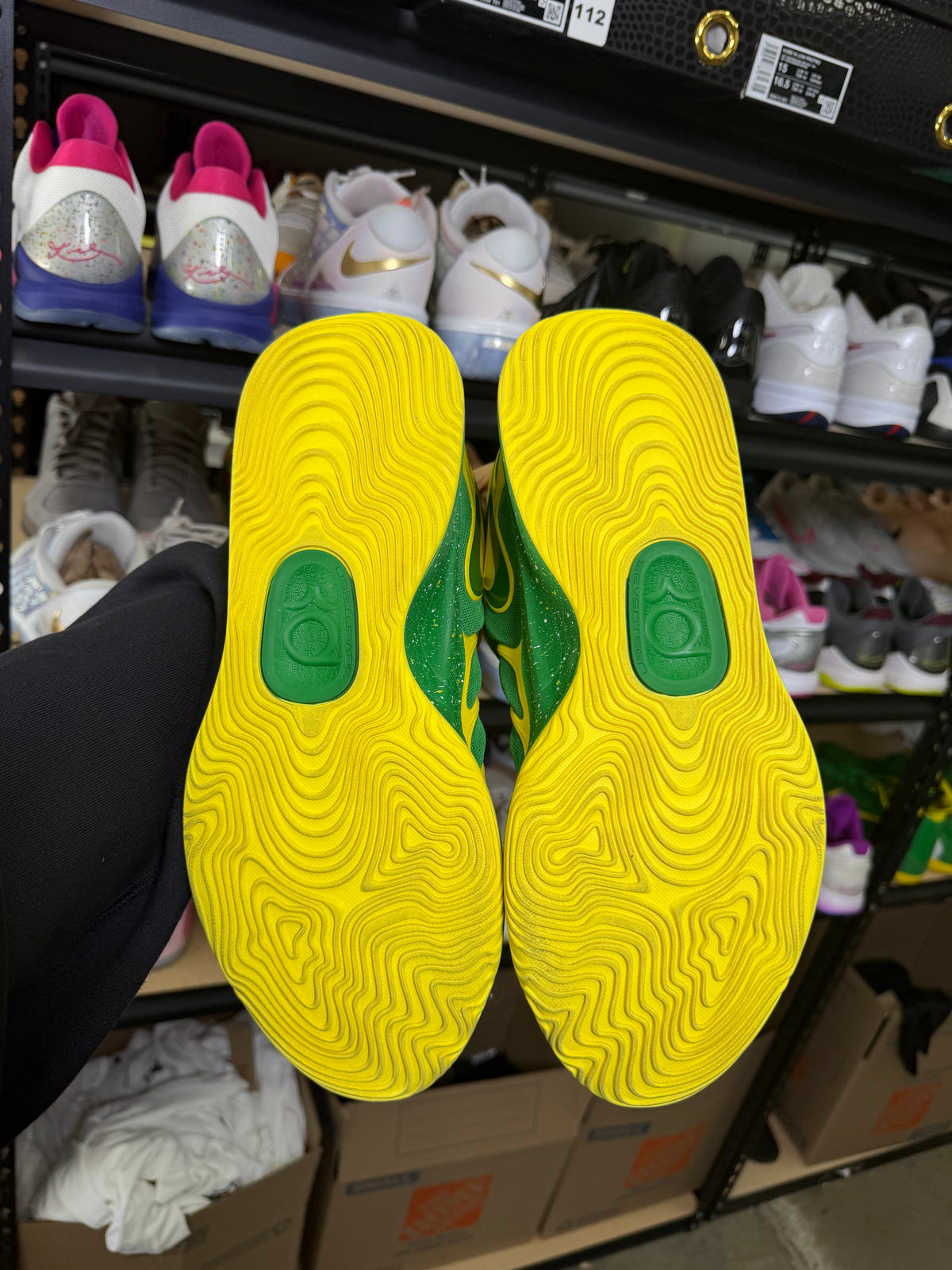 Kd17 Oregon PE (13)