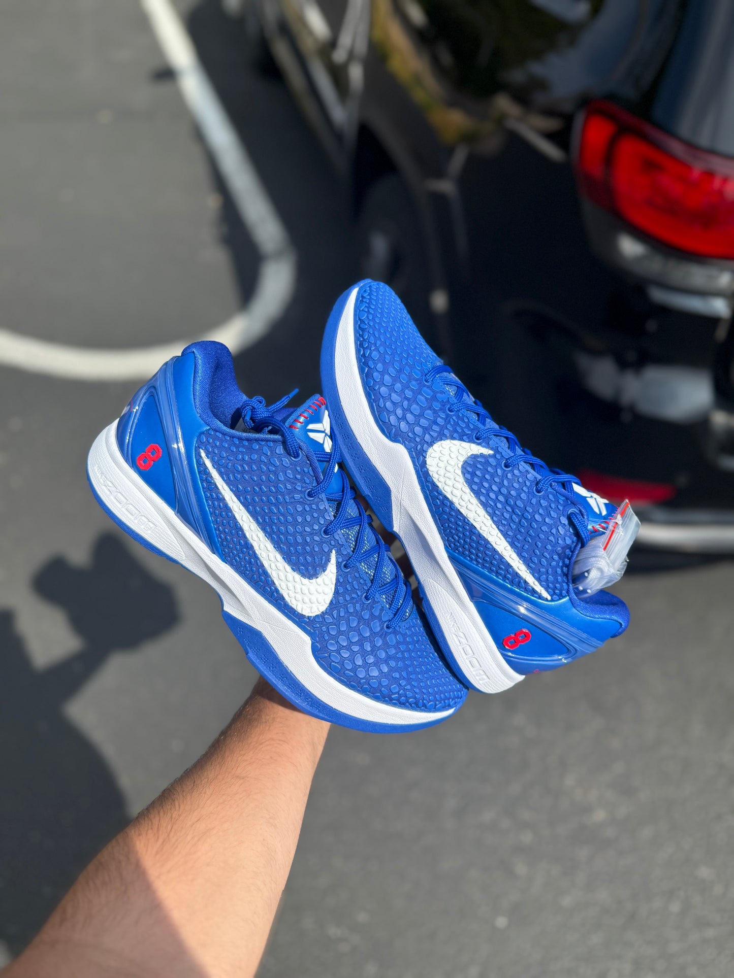 Dodger 6 (9.5,11.5)