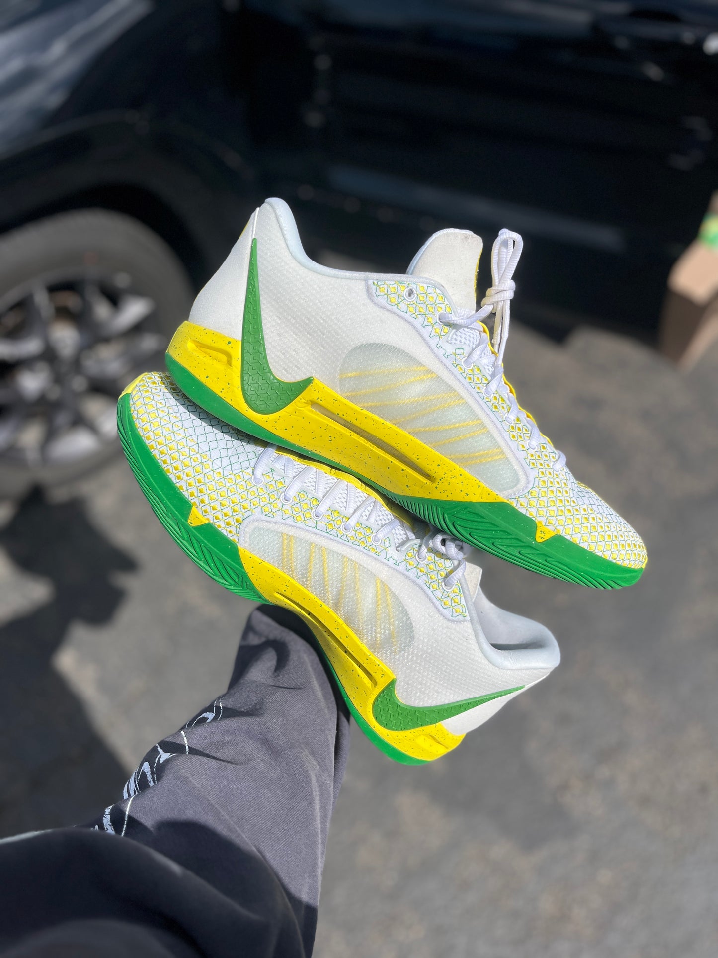 Oregon PE (size 16)