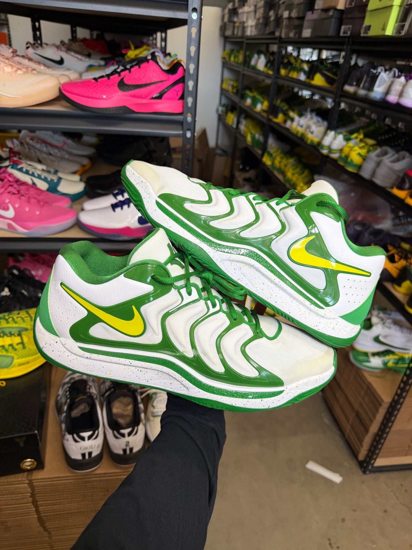 Kd17 Oregon PE (16)