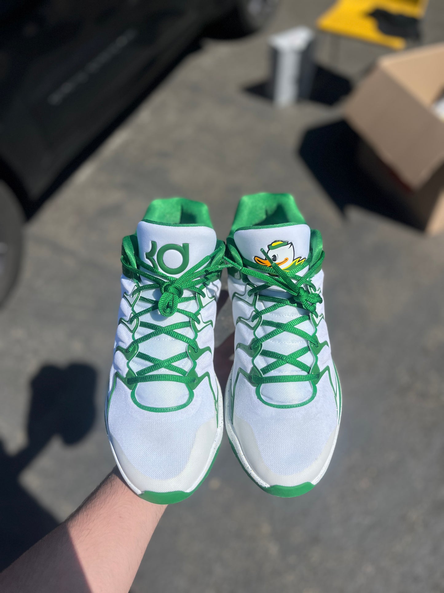 Kd17 Oregon PE (size 15)