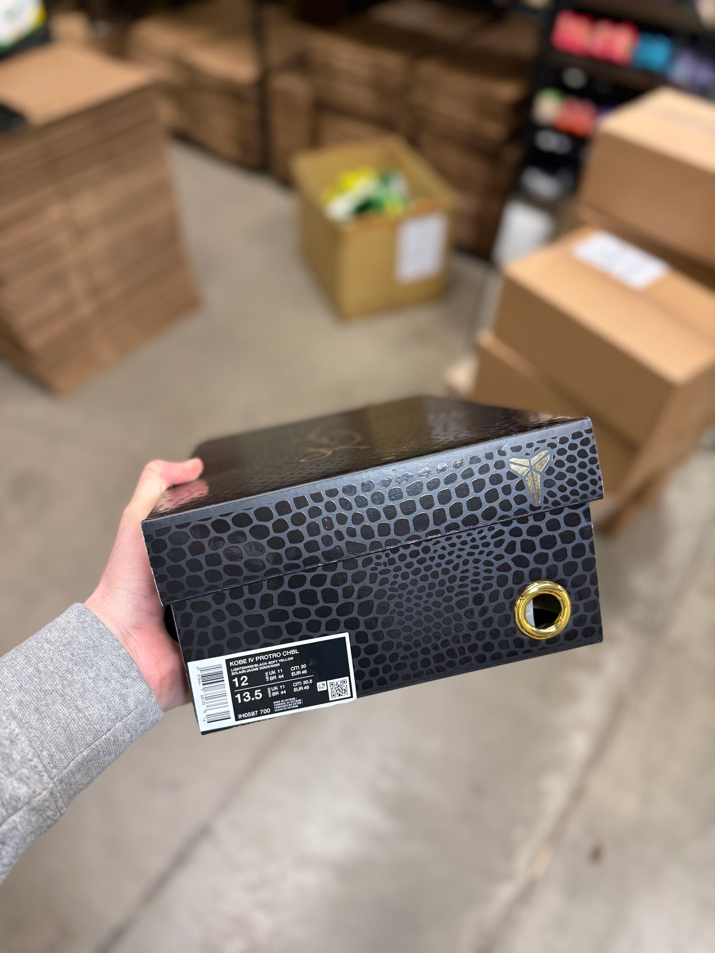 Kobe 4 CHBL (12,14)