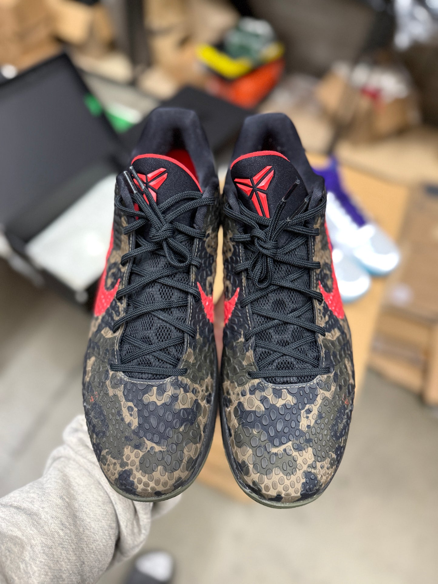 Kobe 6 Italian Camo (size 12.5)