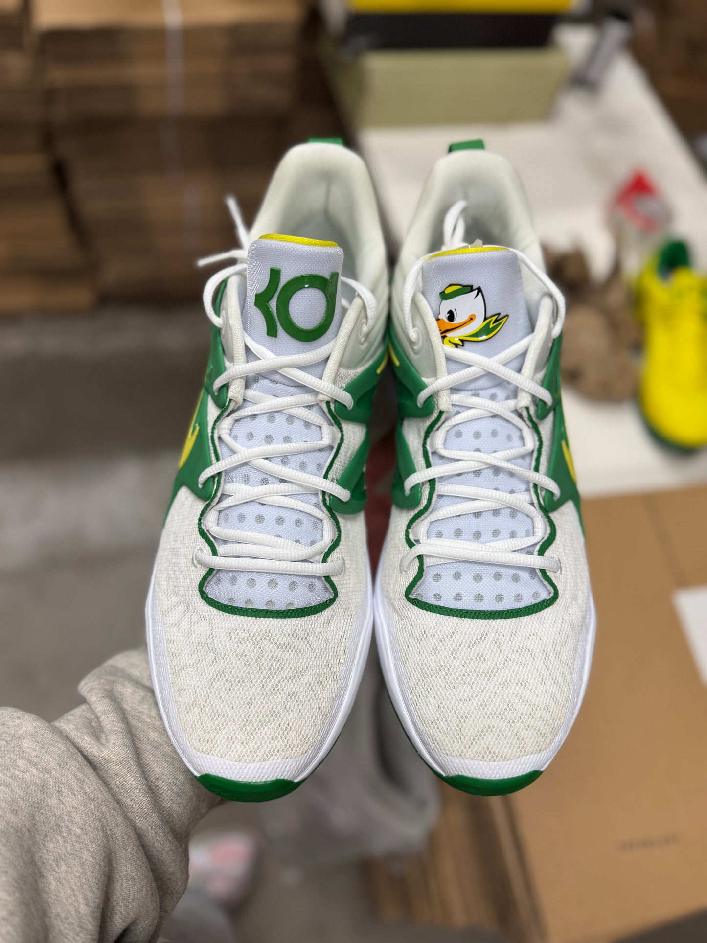 Kd15 Oregon PE (size 16)