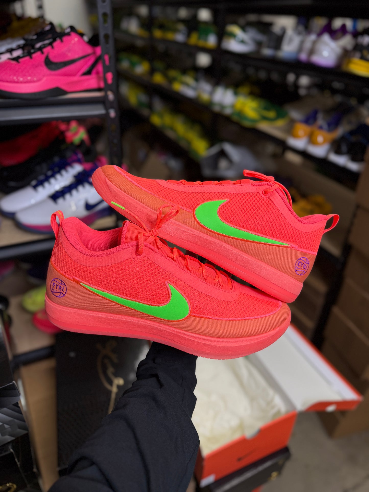 Dbook 2 Eybl