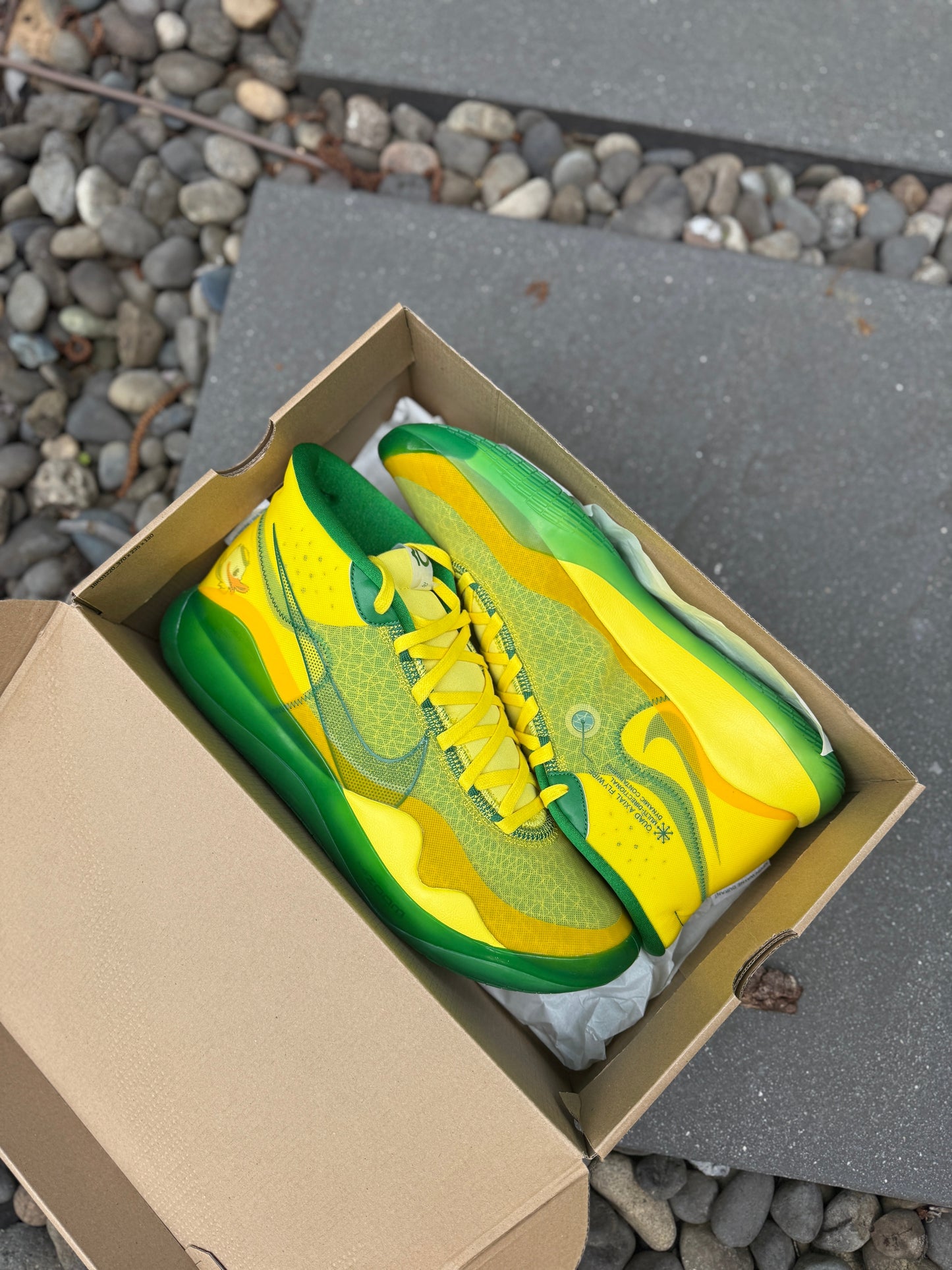 Kd12 Oregon PE (size 14)