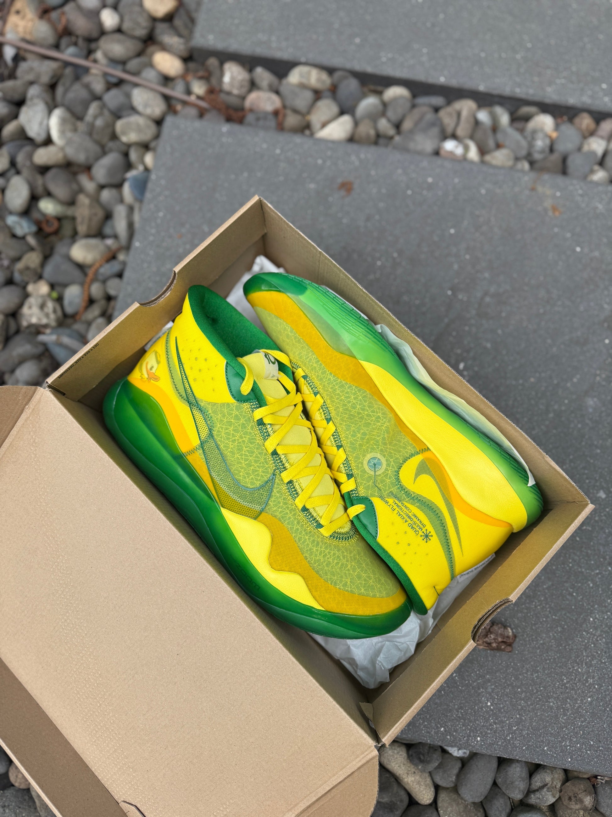 Kd12 Oregon PE (size 14)