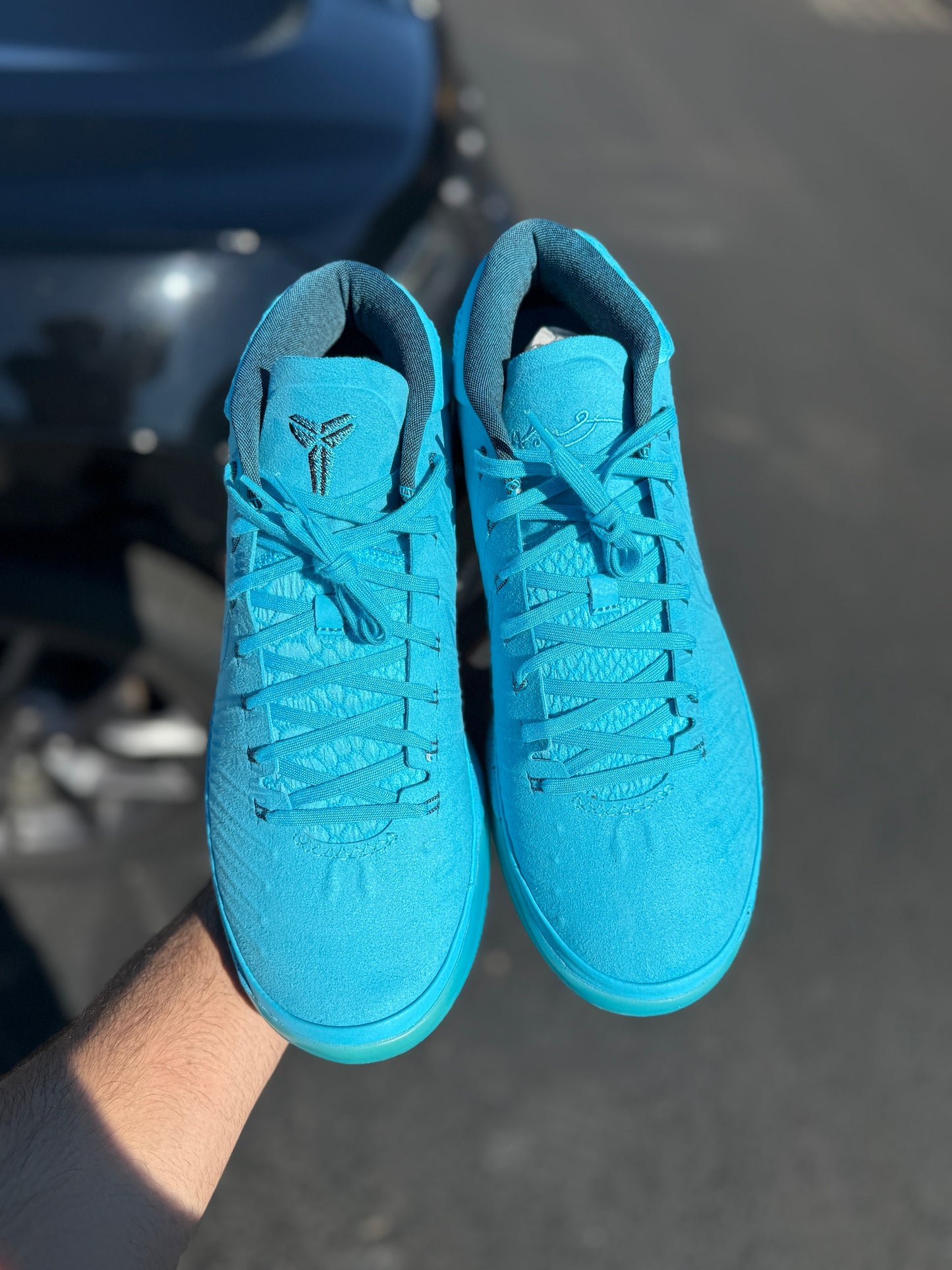 Honesty AD (size 12)