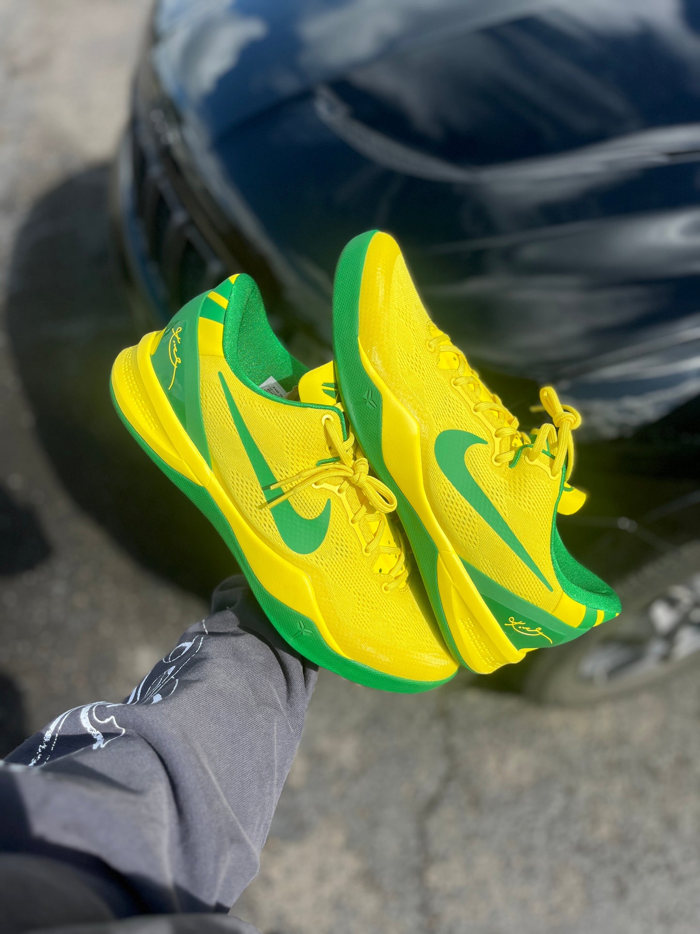 Oregon PE (7.5 / 8.5 / 12 / 14)