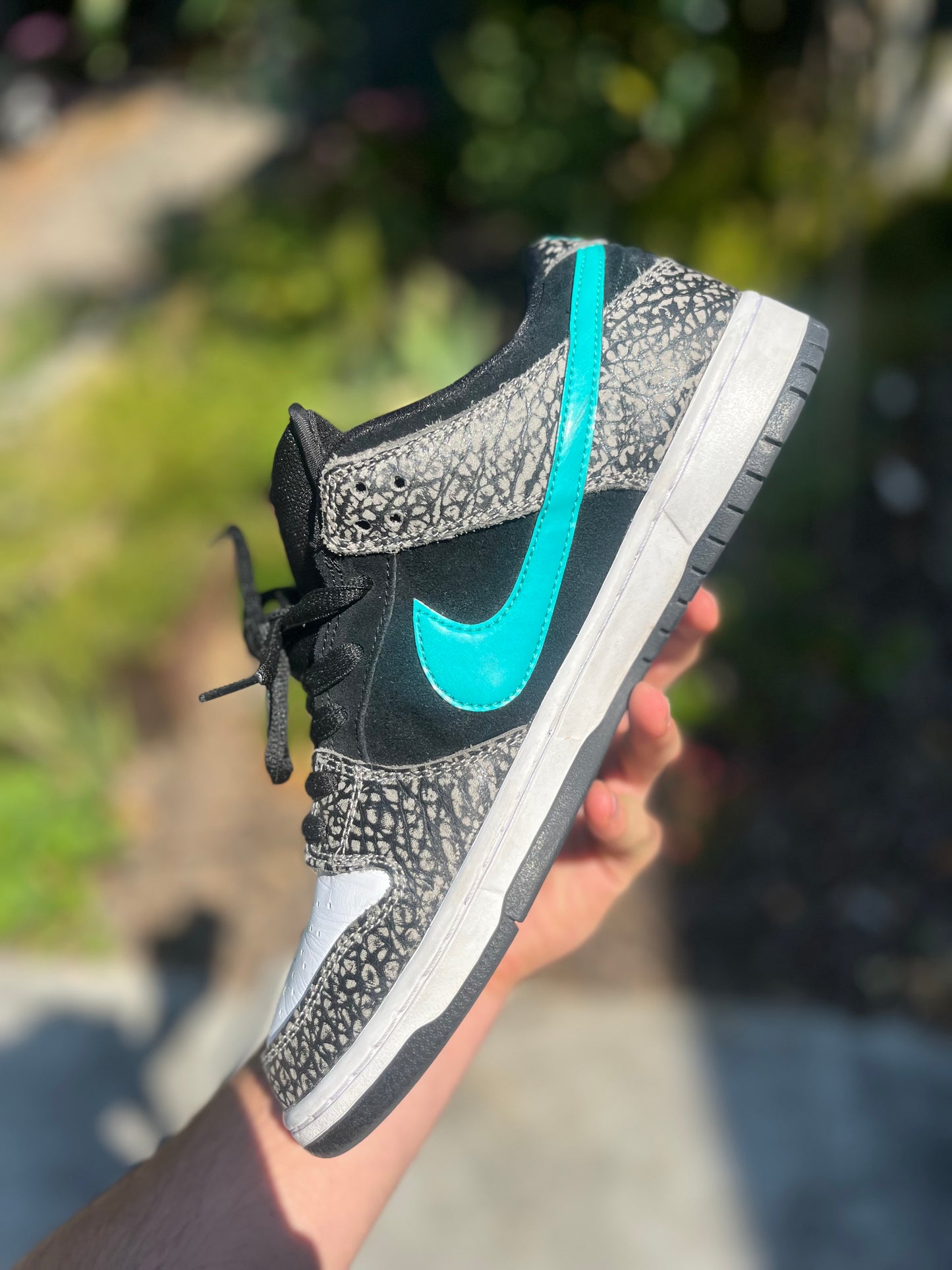 Atmos elephant dunks (size 11)