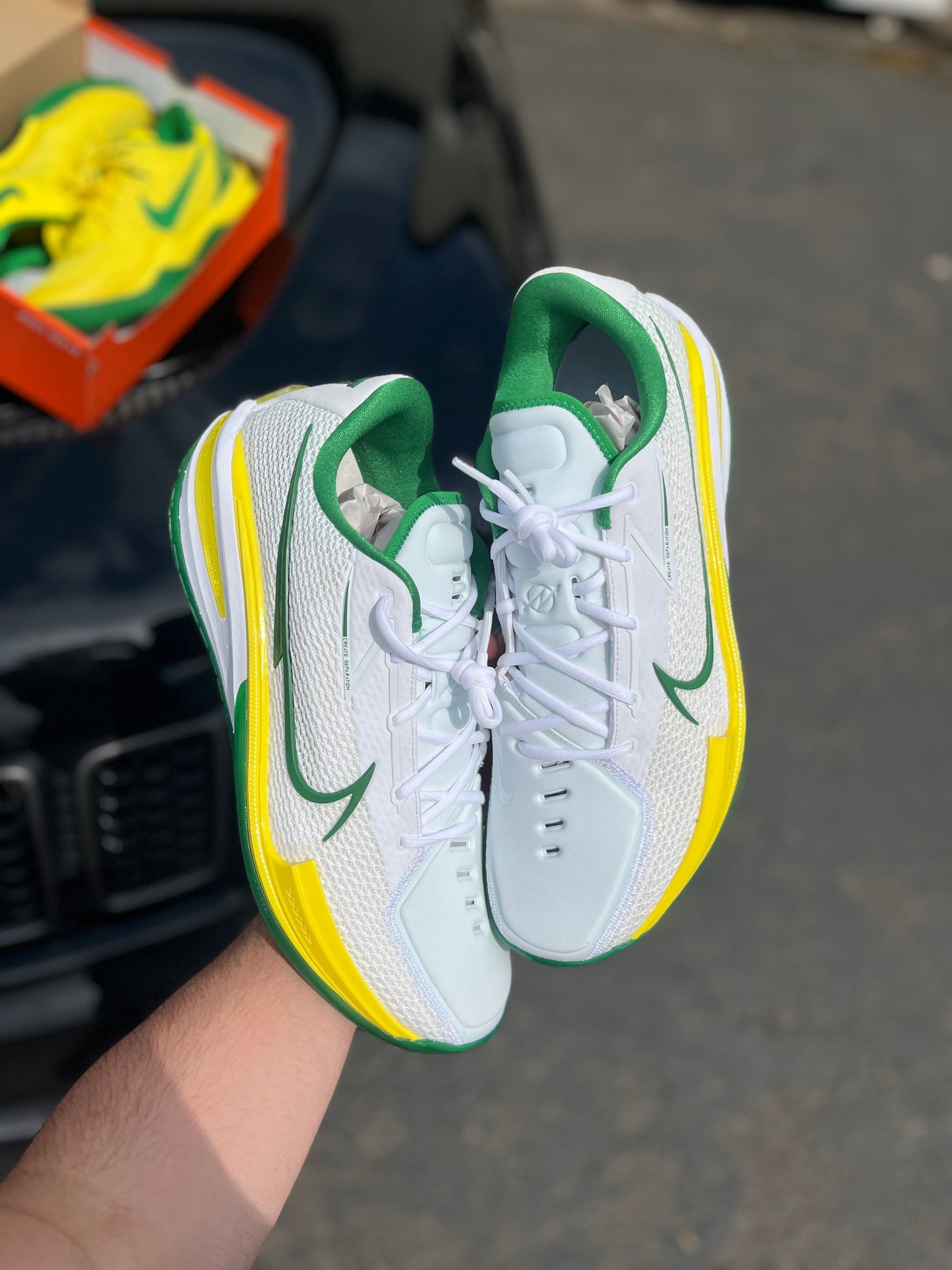 Gt cut Oregon PE (size 16)