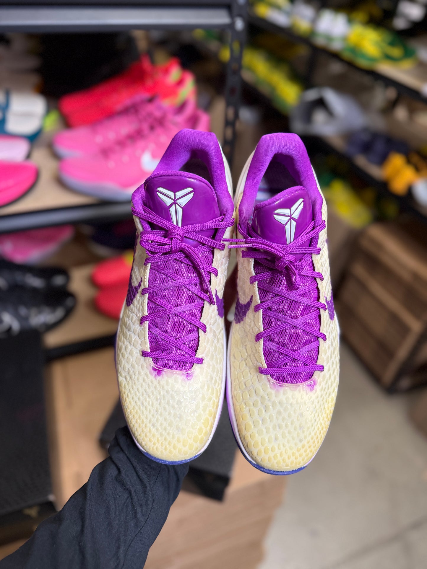 Kobe 6 Trevor Ariza PE (13.5)