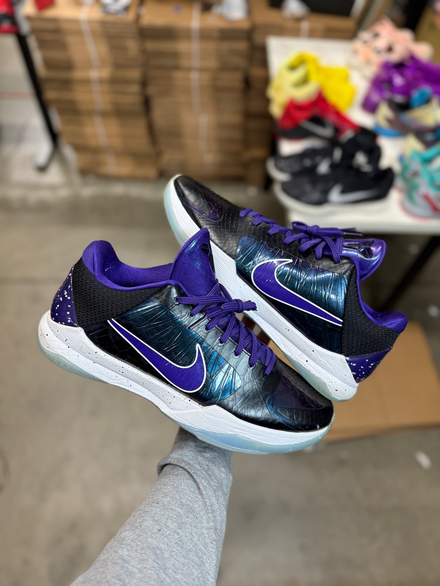 Kobe 5 Ariza PE (13.5)