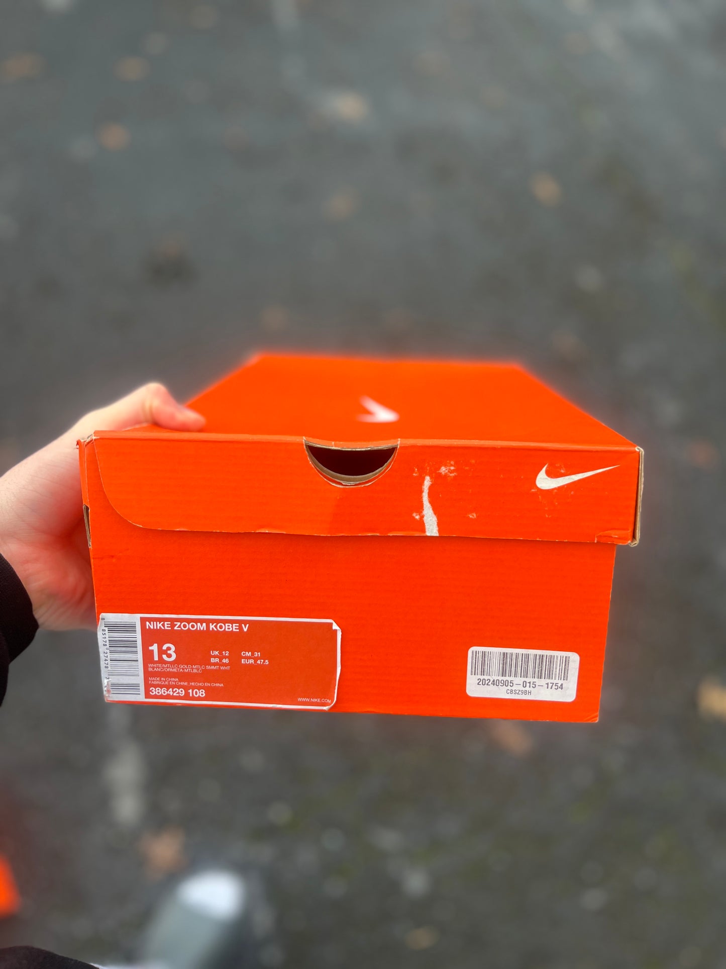 (Size 13)