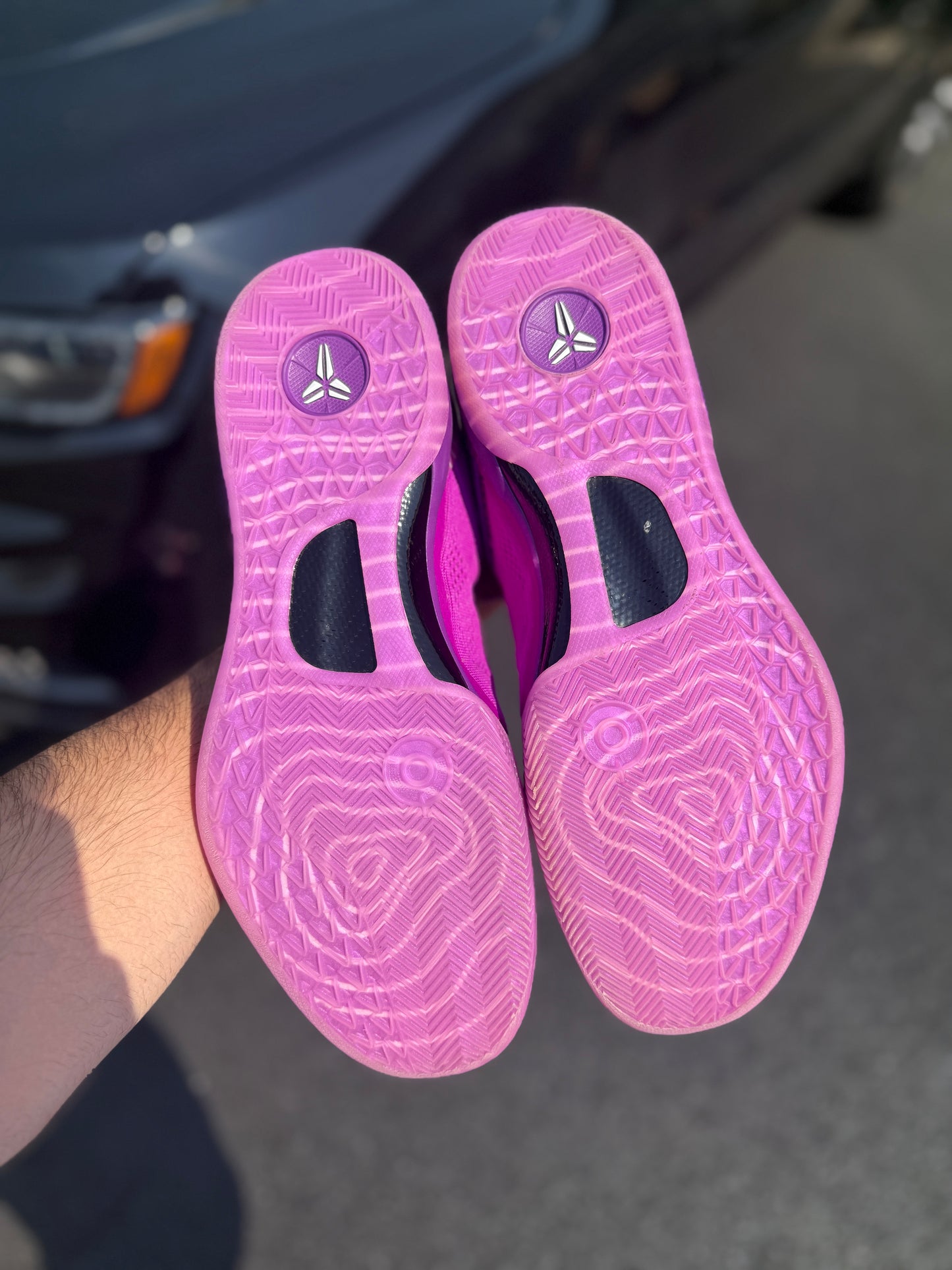 Eybl 8 (size 14)
