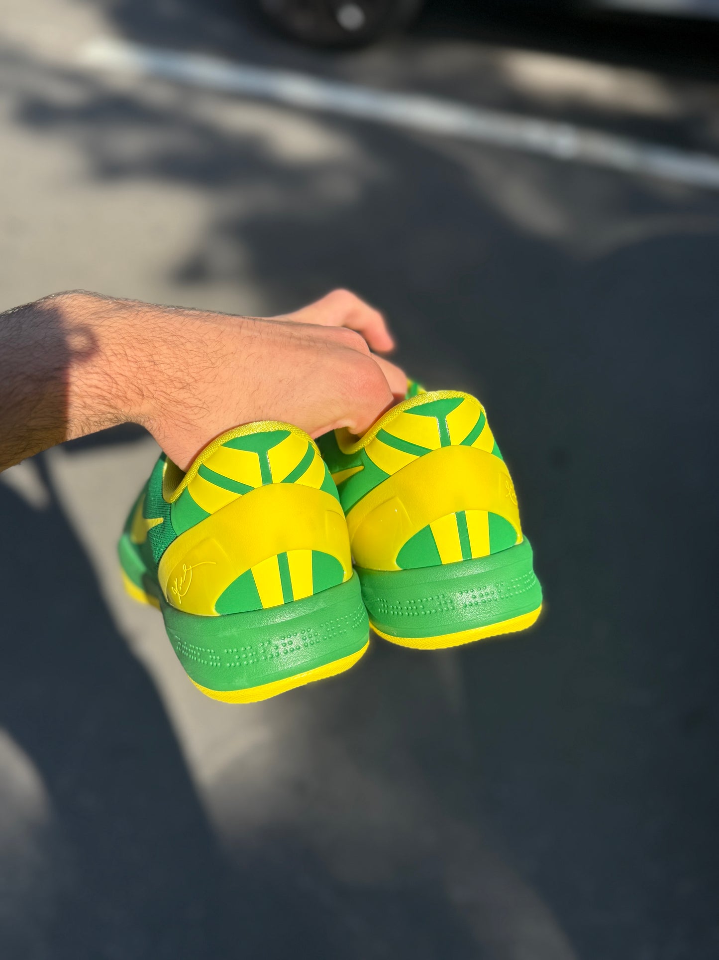 Oregon 8 PE (7.5,9.5,11.5,13)