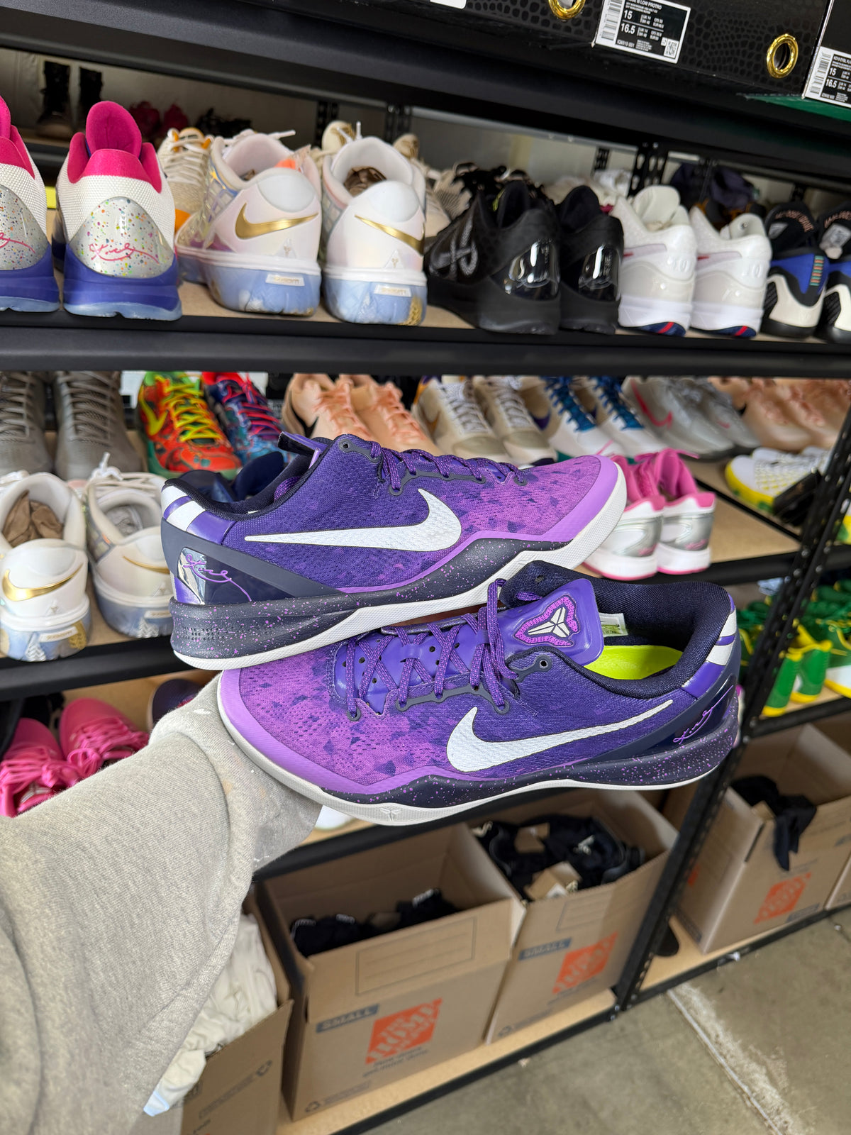 Kobe 8 Purple Platinum (10.5)