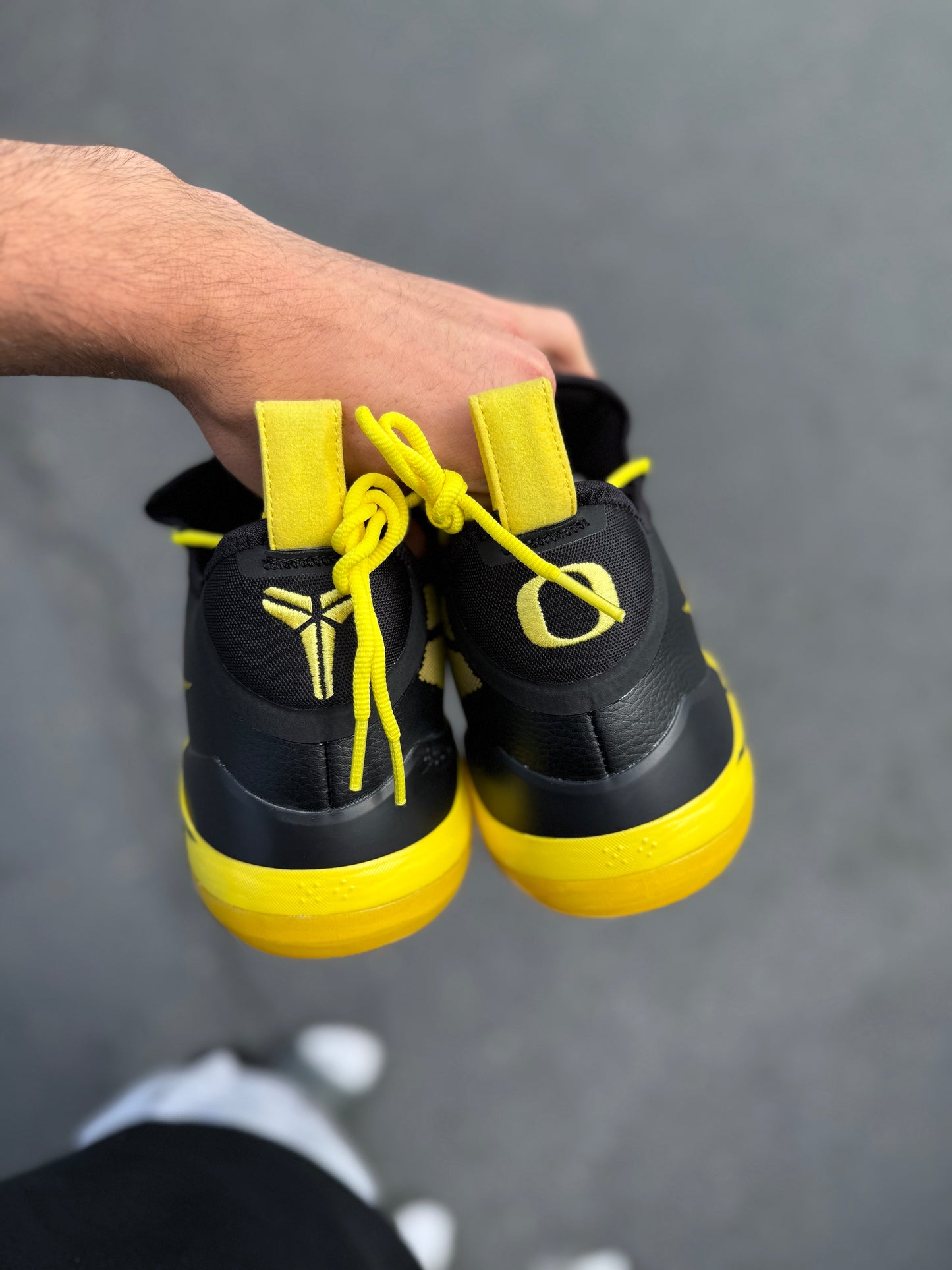 Oregon PE AD (size 15)